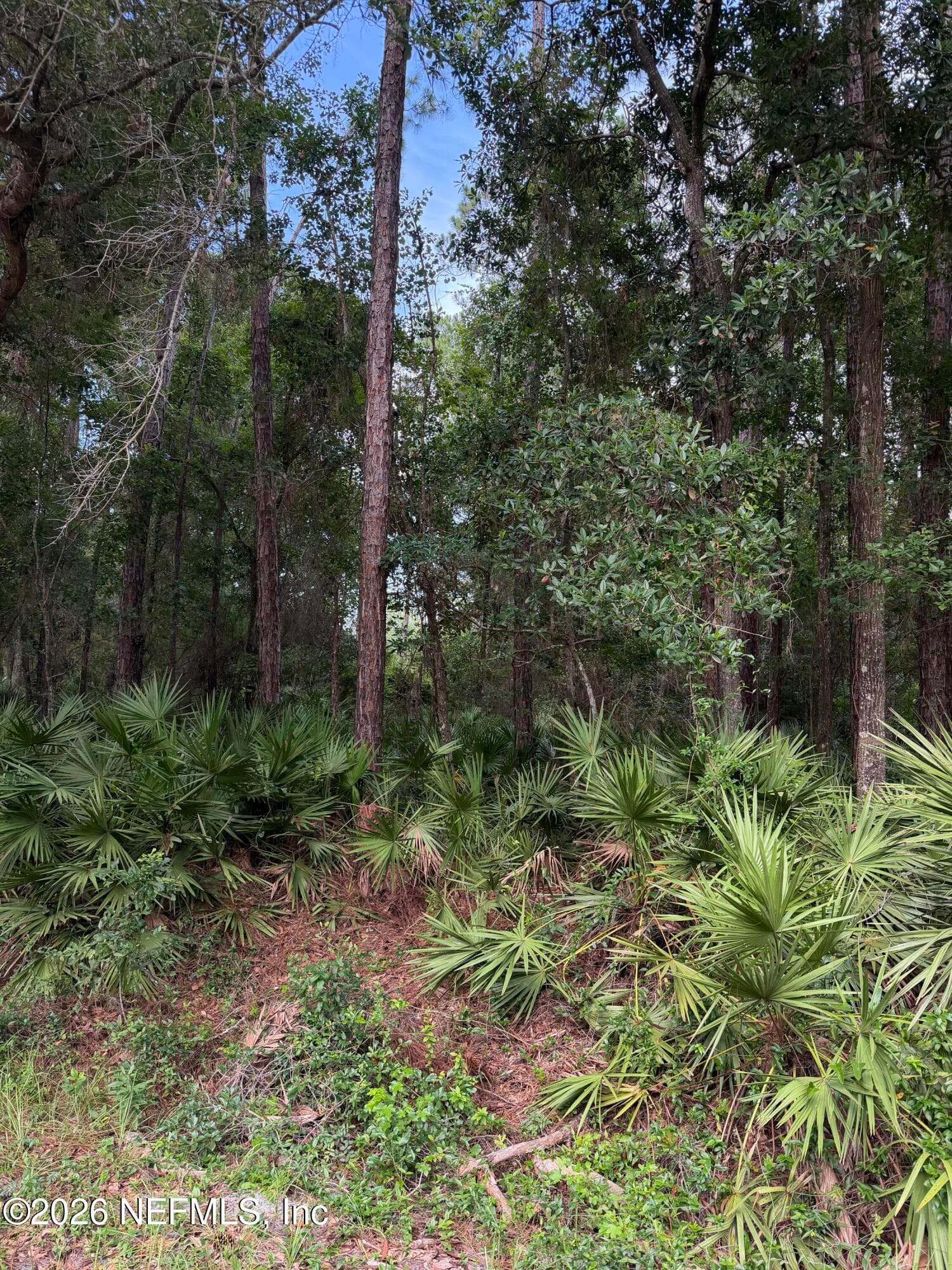 102 CAROLINE Boulevard, Georgetown, FL 32139, Georgetown — photo 2