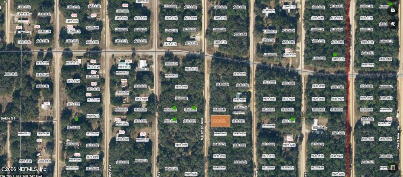 XXX NEISMAN Avenue, Interlachen, FL 32148, Interlachen — photo 2