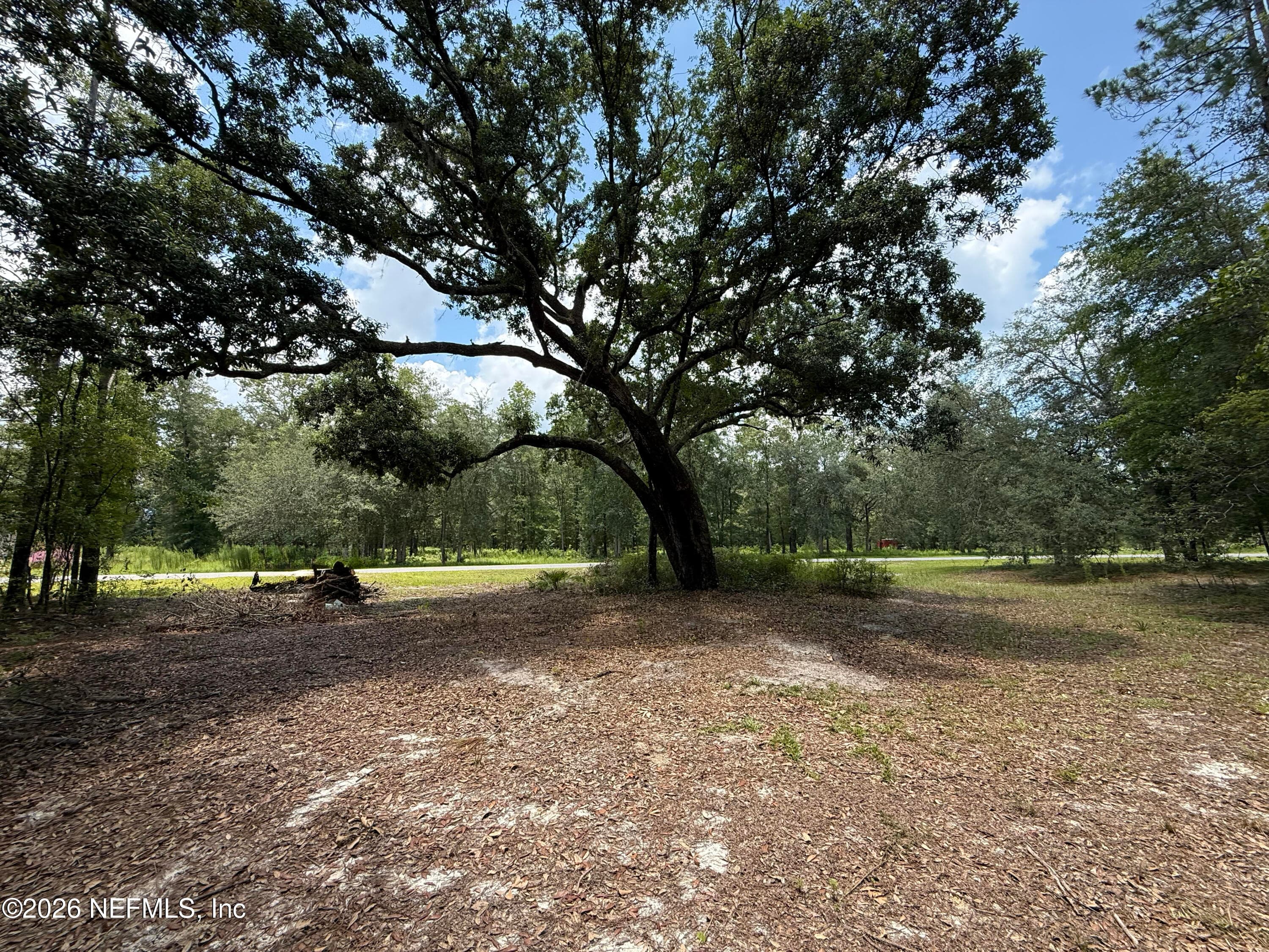15422 BULLOCK BLUFF RD Road, Bryceville, FL 32009, Bryceville — photo 3