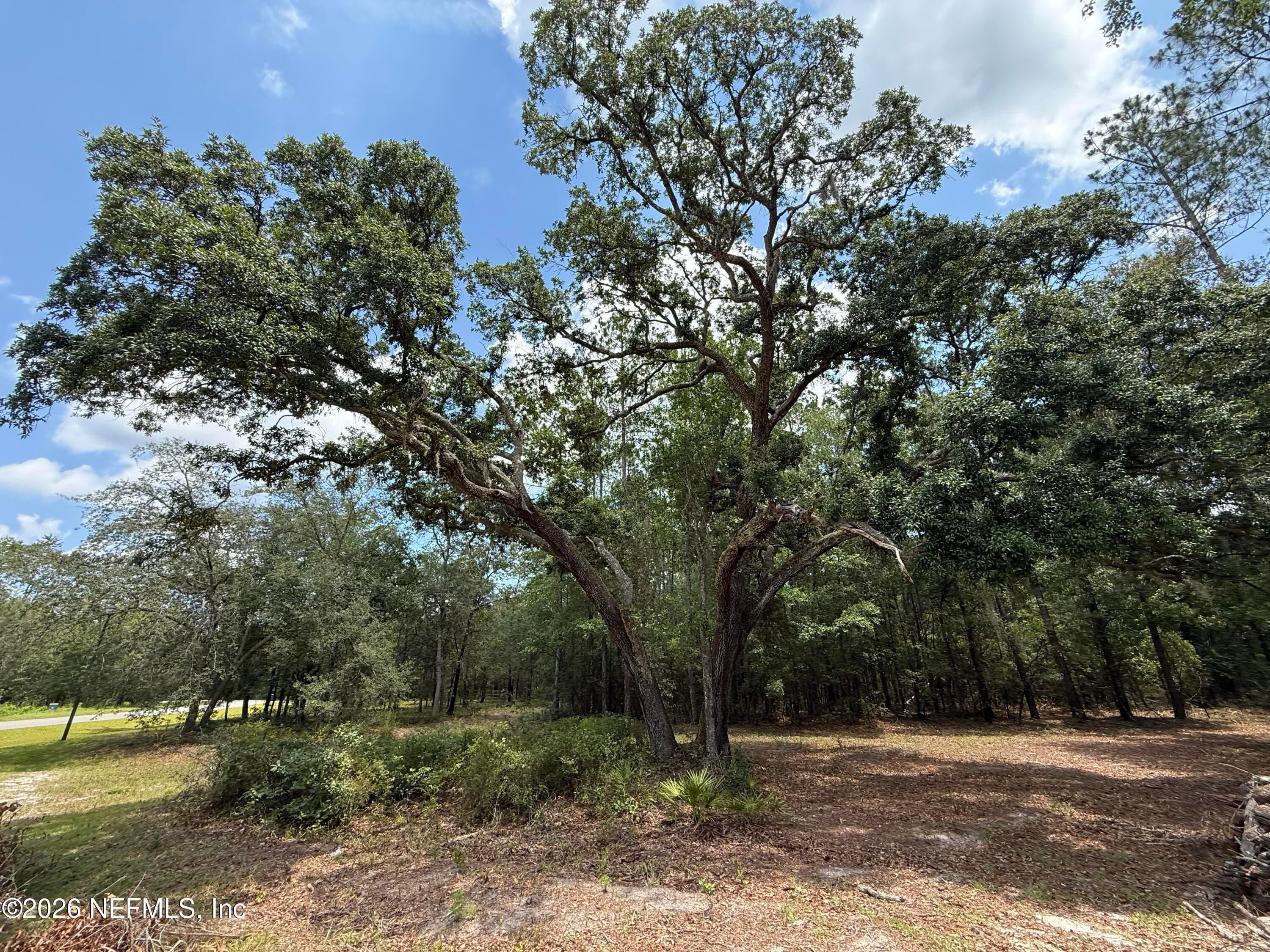 15422 BULLOCK BLUFF RD Road, Bryceville, FL 32009, Bryceville — photo 2
