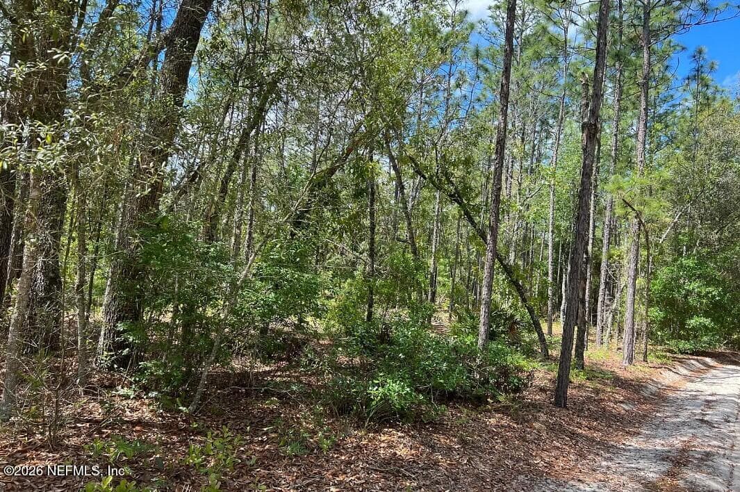 0000 LADY BUG Lane, Melrose, FL 32666, Melrose — photo 2