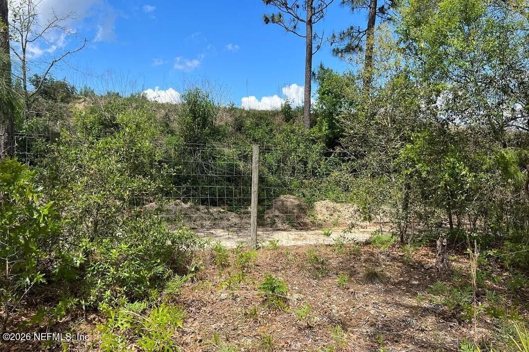 0000 LADY BUG Lane, Melrose, FL 32666, Melrose — photo 3