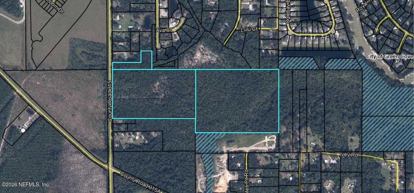 3771 COUNTY ROAD 315, Green Cove Springs — photo 2