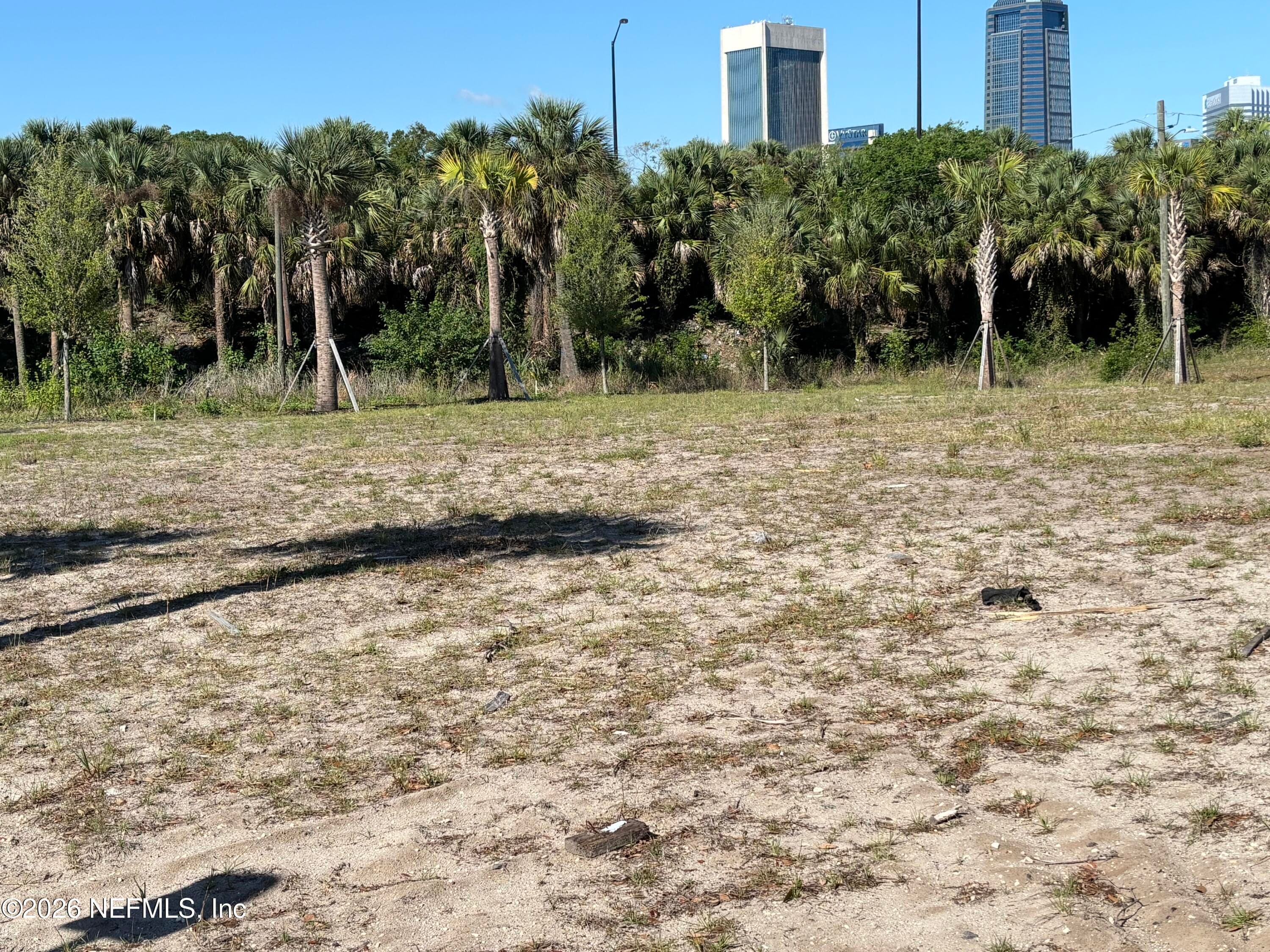 0 CATHERINE Street E, Jacksonville, FL 32202, Jacksonville — photo 2