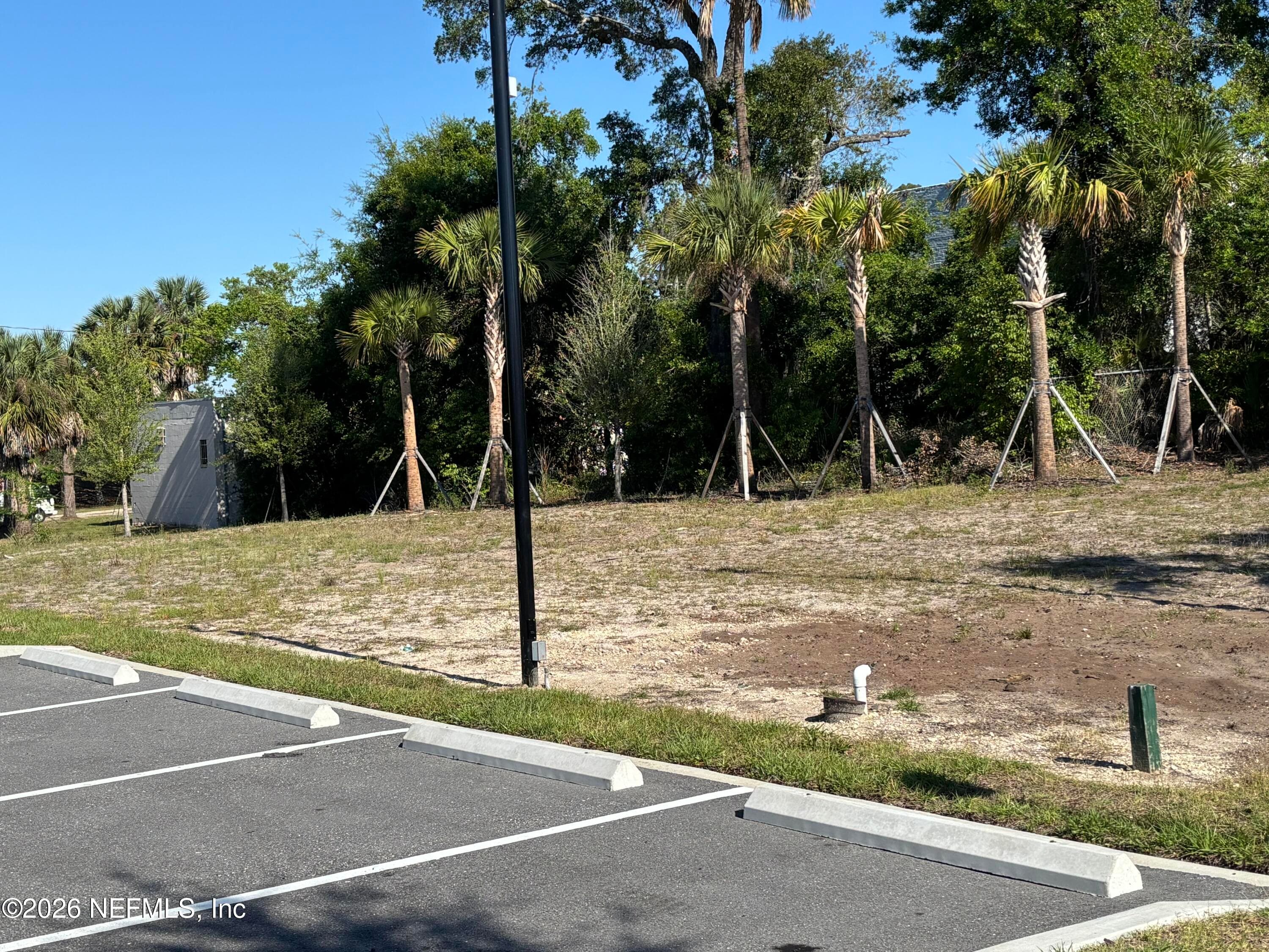 0 CATHERINE Street E, Jacksonville, FL 32202, Jacksonville — photo 3