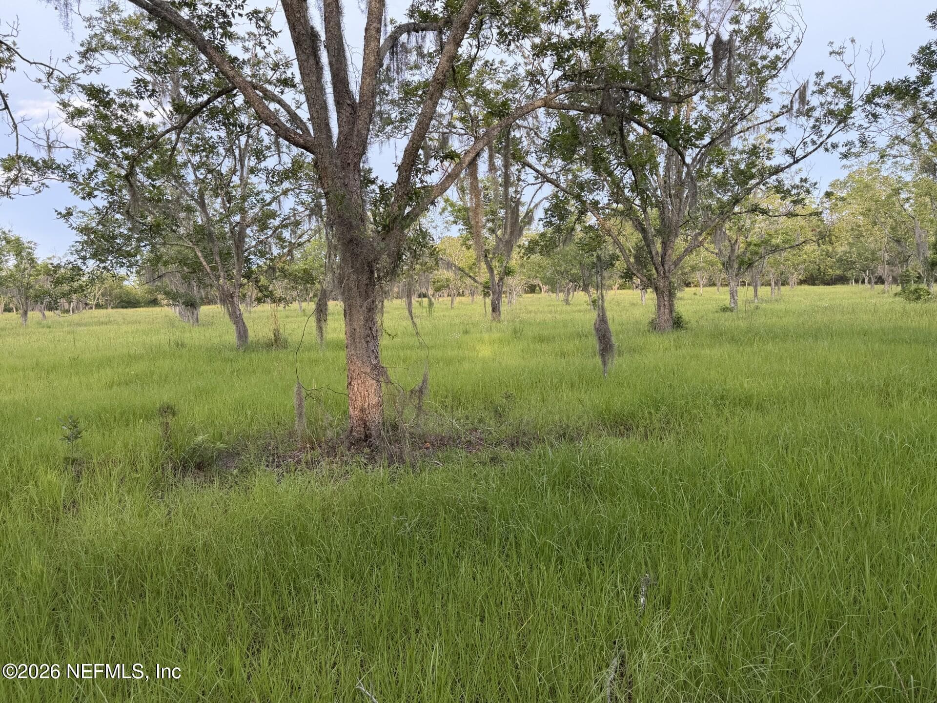 17620 NE 77TH Lane, Hawthorne, FL 32640, Hawthorne — exterior