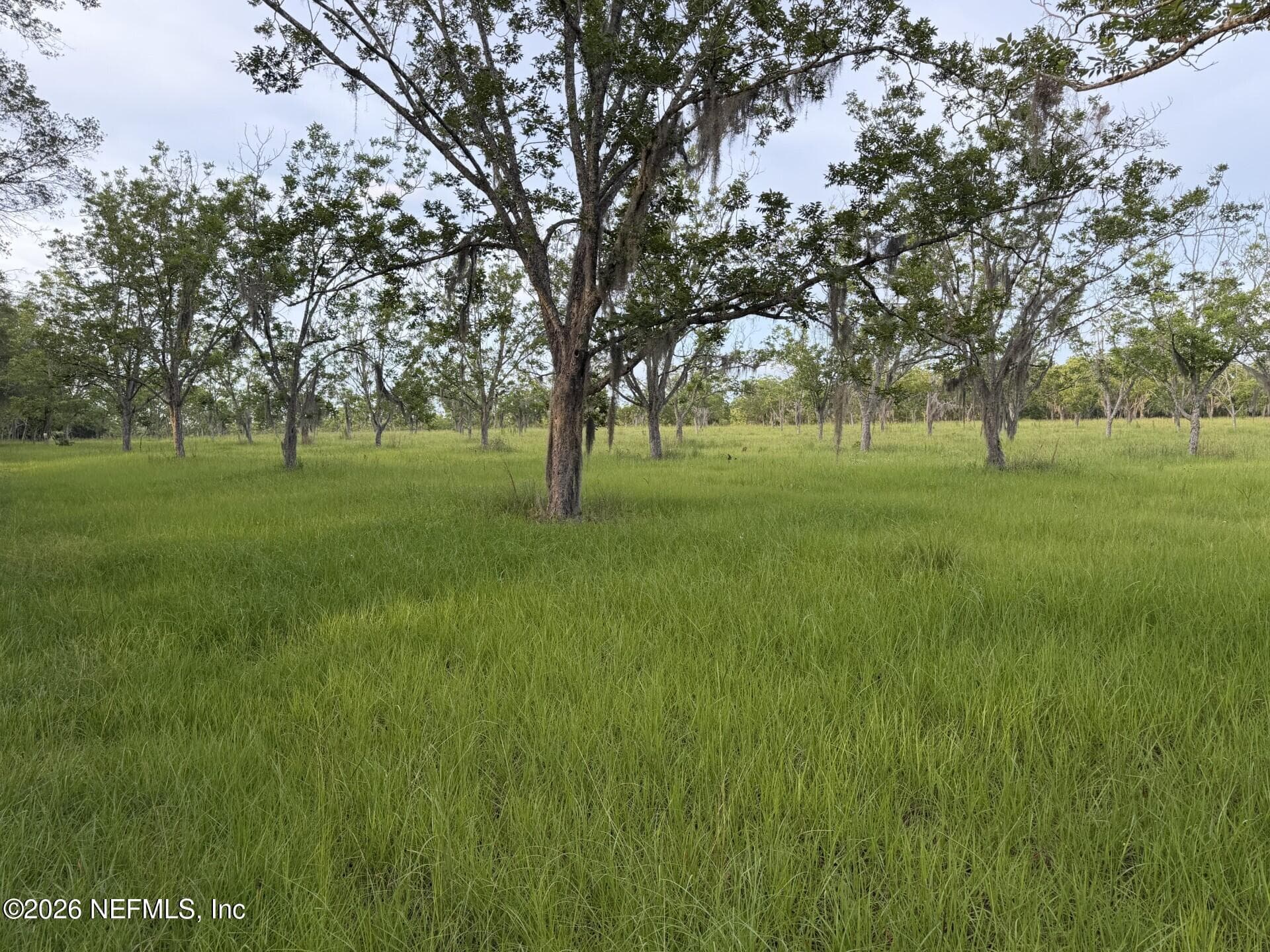 17620 NE 77TH Lane, Hawthorne, FL 32640, Hawthorne — photo 3