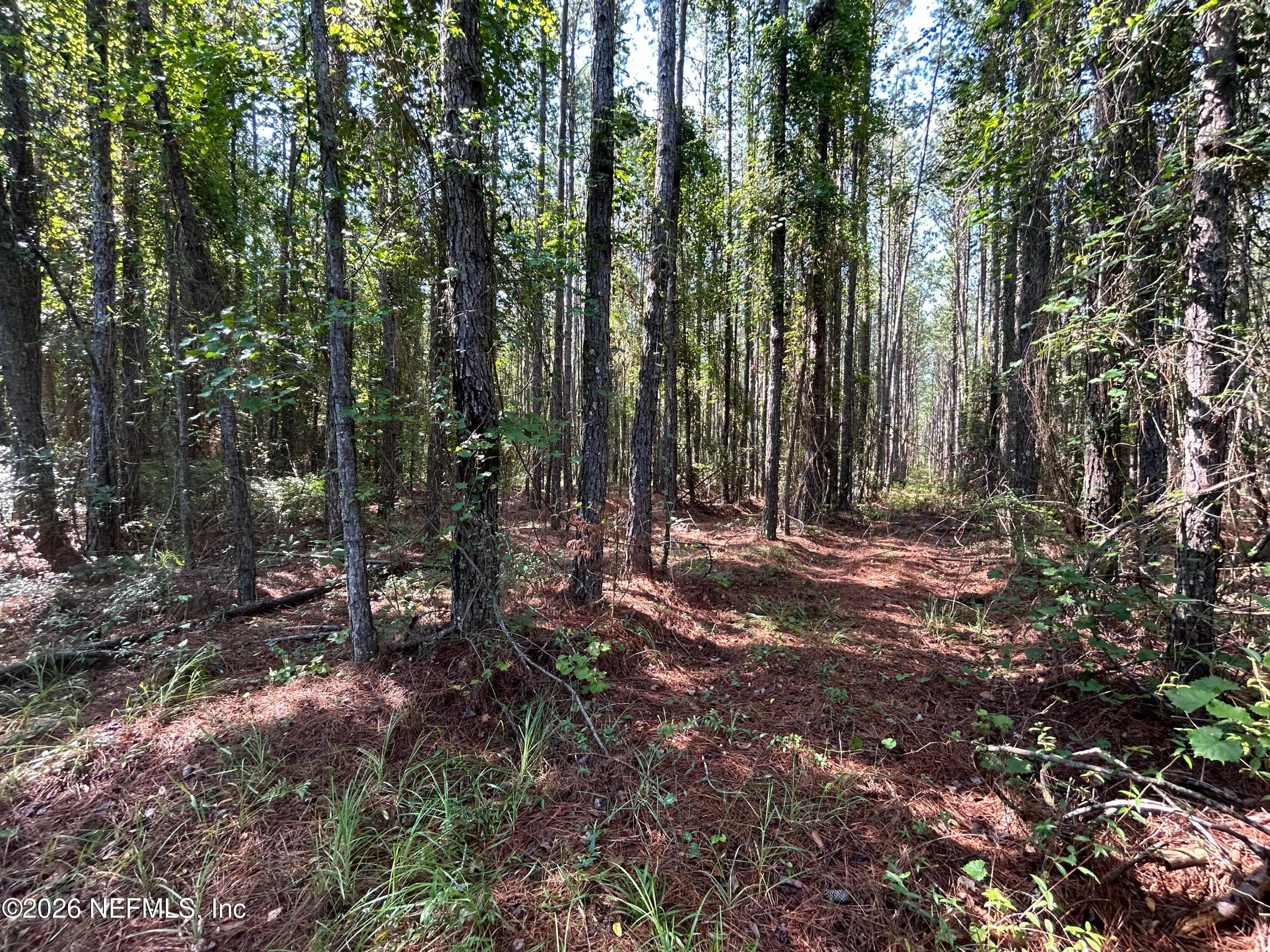 709 GEORGETOWN DENVER Road, Crescent City, FL 32112, Crescent City — exterior