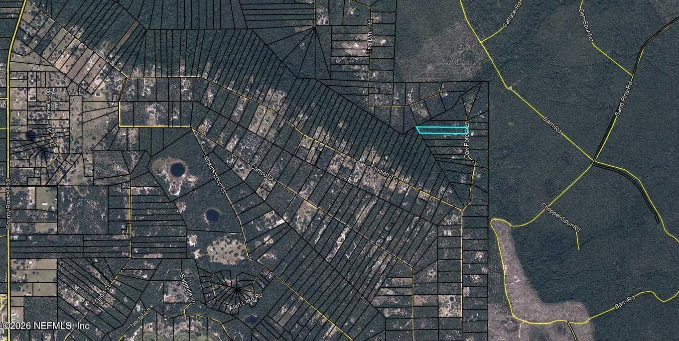 4235 OAK FOREST Lane, Keystone Heights, FL 32656, Keystone Heights — photo 2