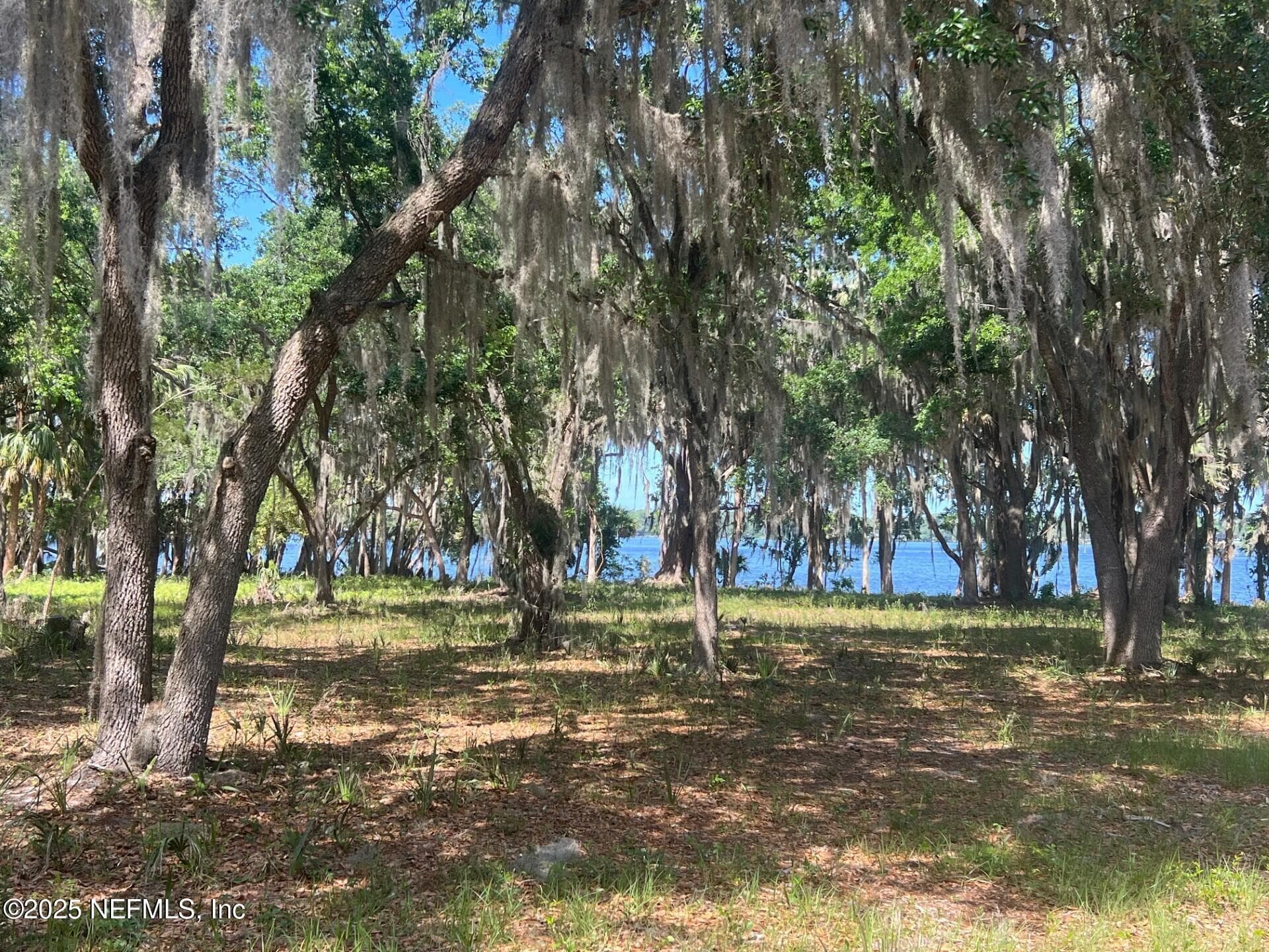 762 NATIONAL FOREST ROAD 75G Road, Palatka, FL 32177, Palatka — exterior