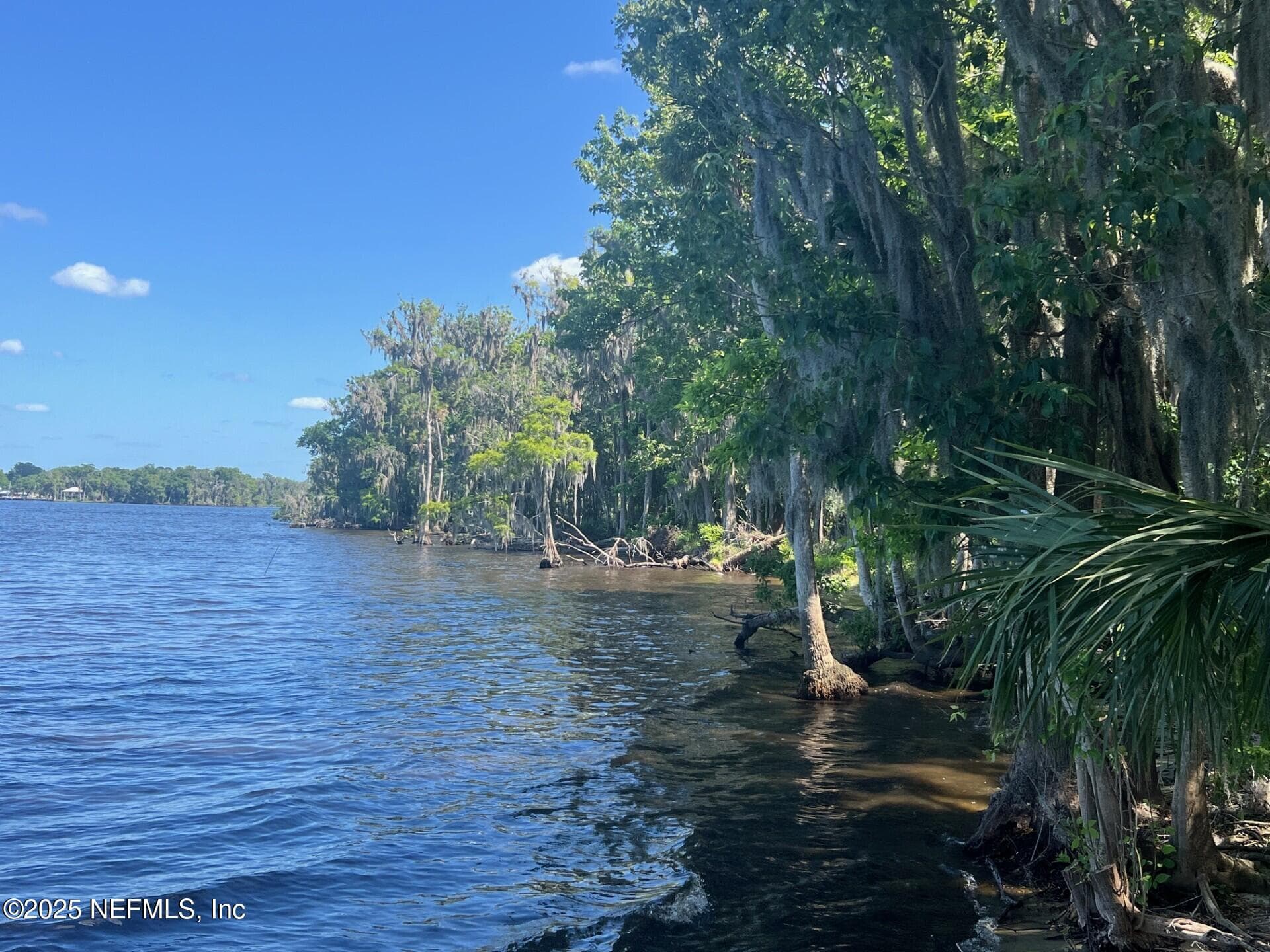 766 NATIONAL FOREST ROAD 75G Road, Palatka, FL 32177, Palatka — photo 2