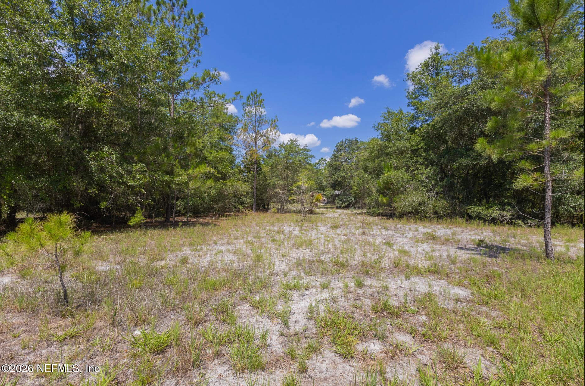 133 LANDVALE Street, Georgetown, FL 32139, Georgetown — photo 2
