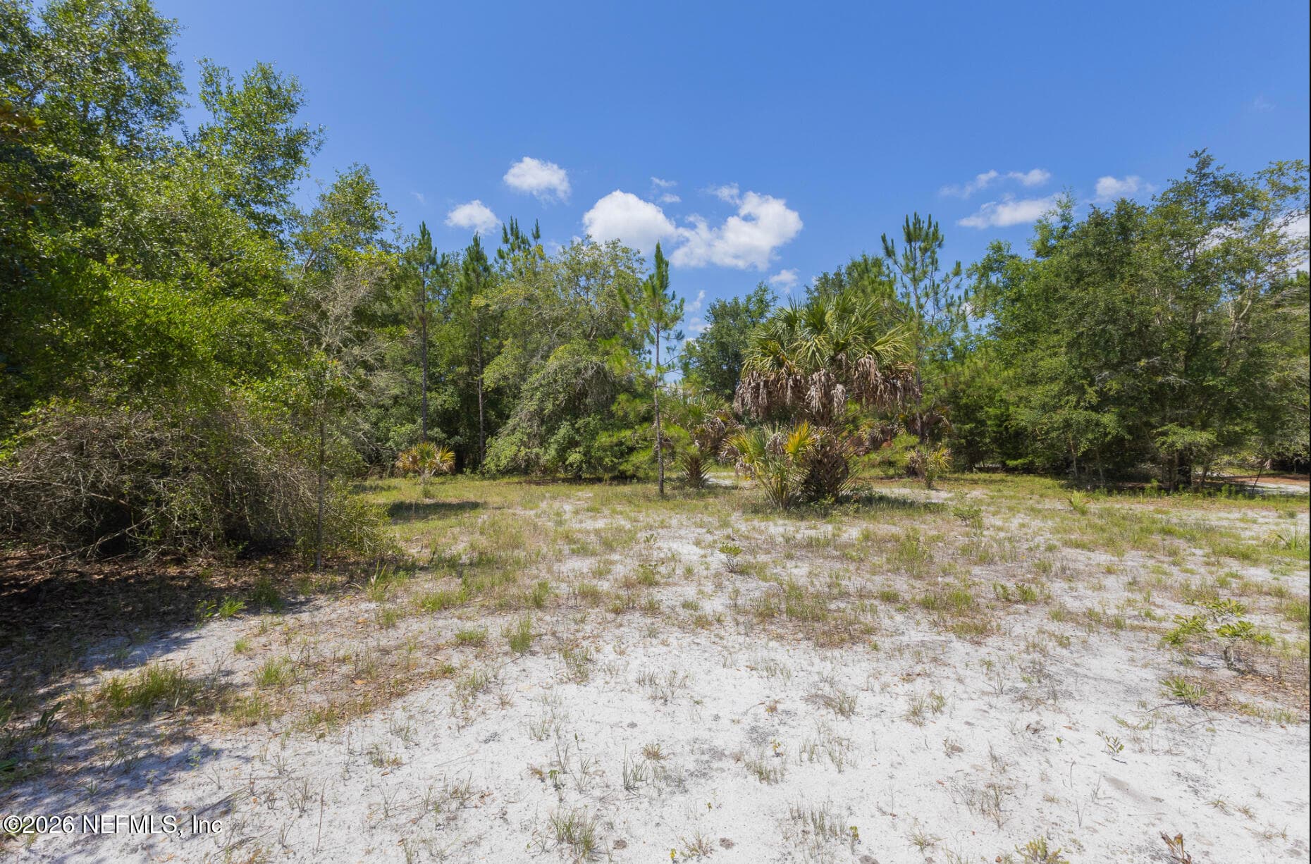 133 LANDVALE Street, Georgetown, FL 32139, Georgetown — photo 3