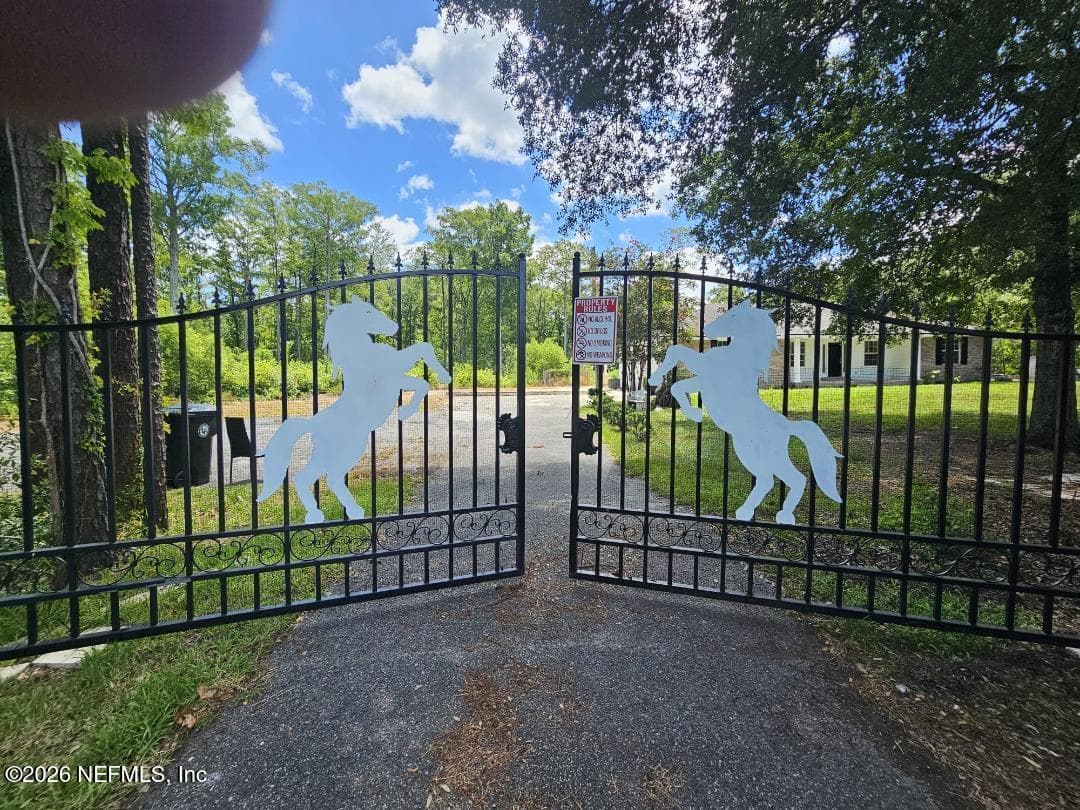 721 TARA FARMS Drive, Middleburg, FL 32068, Middleburg — photo 2