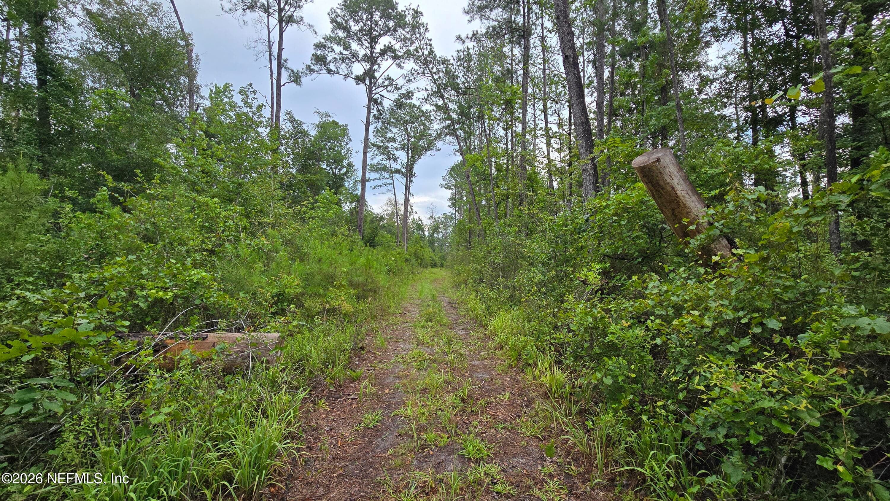 LOT 16 16TH Street NW, Jasper, FL 32052, Jasper — exterior