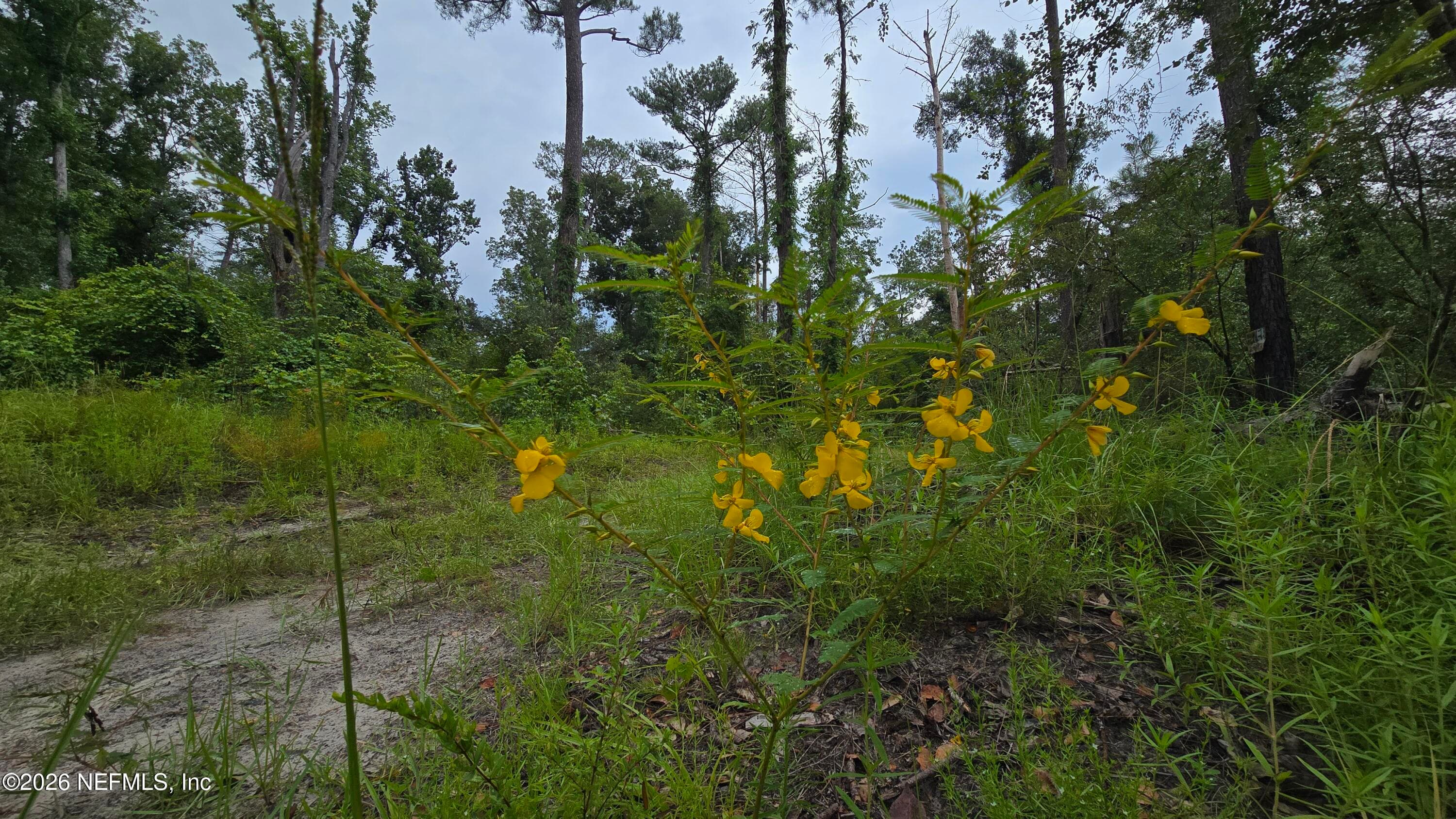 LOT 16 16TH Street NW, Jasper, FL 32052, Jasper — photo 2