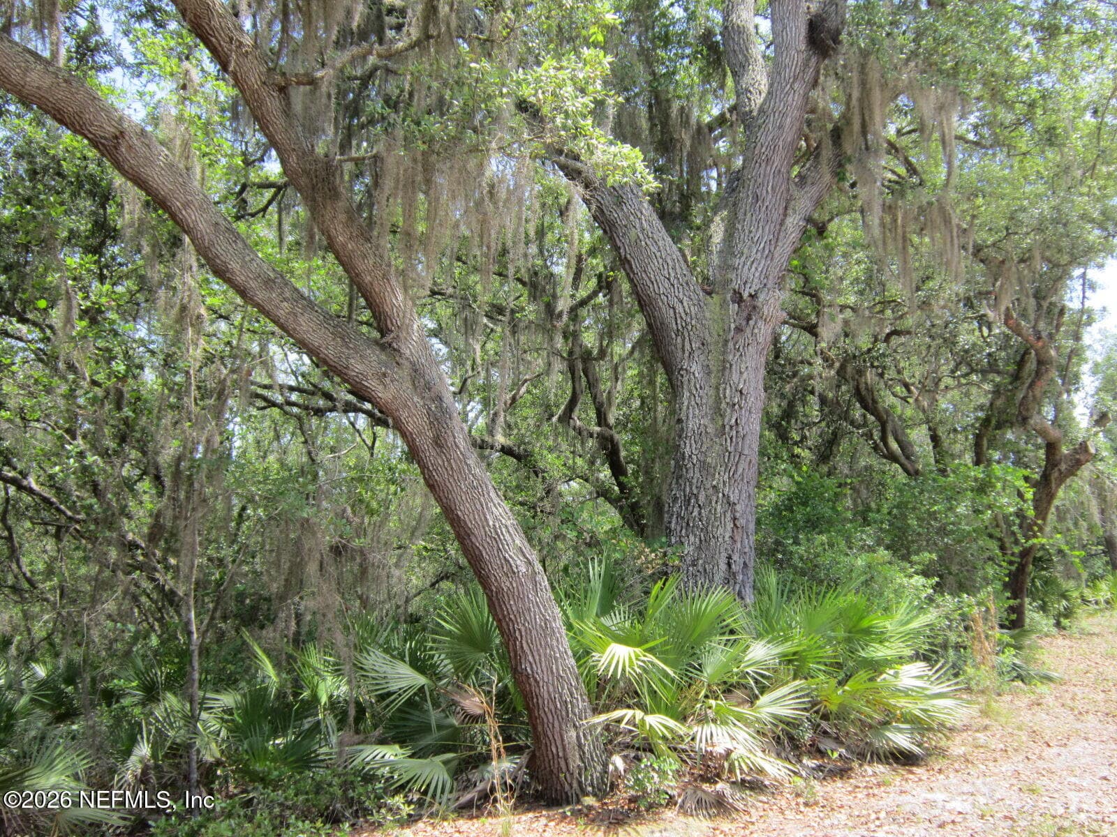 125 KIRBY Lane, Melrose, FL 32666, Melrose — exterior
