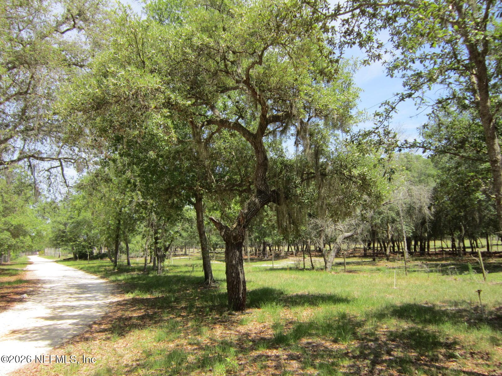 125 KIRBY Lane, Melrose, FL 32666, Melrose — photo 3