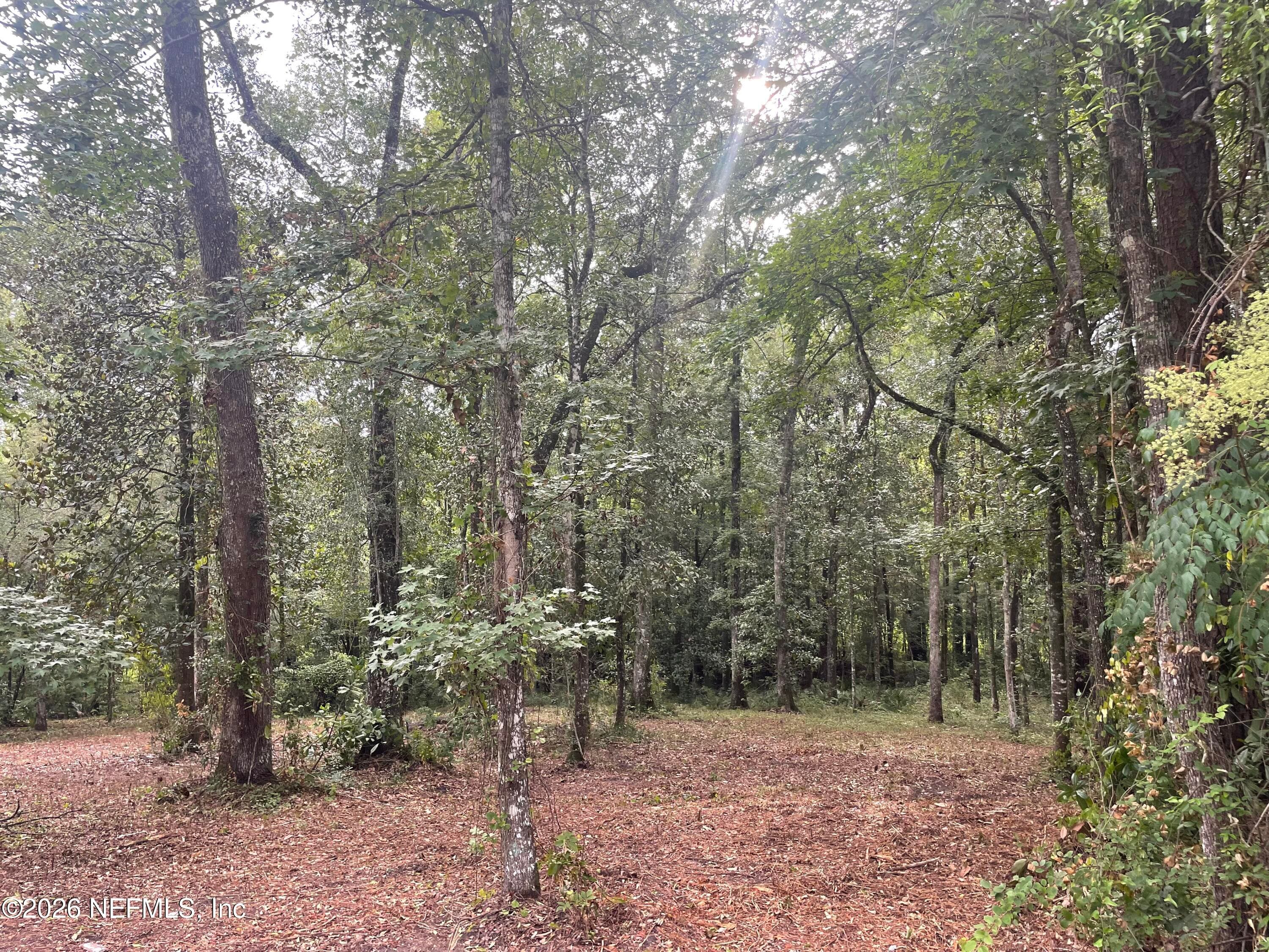 4825 GOPHER Circle, Middleburg, FL 32068, Middleburg — exterior
