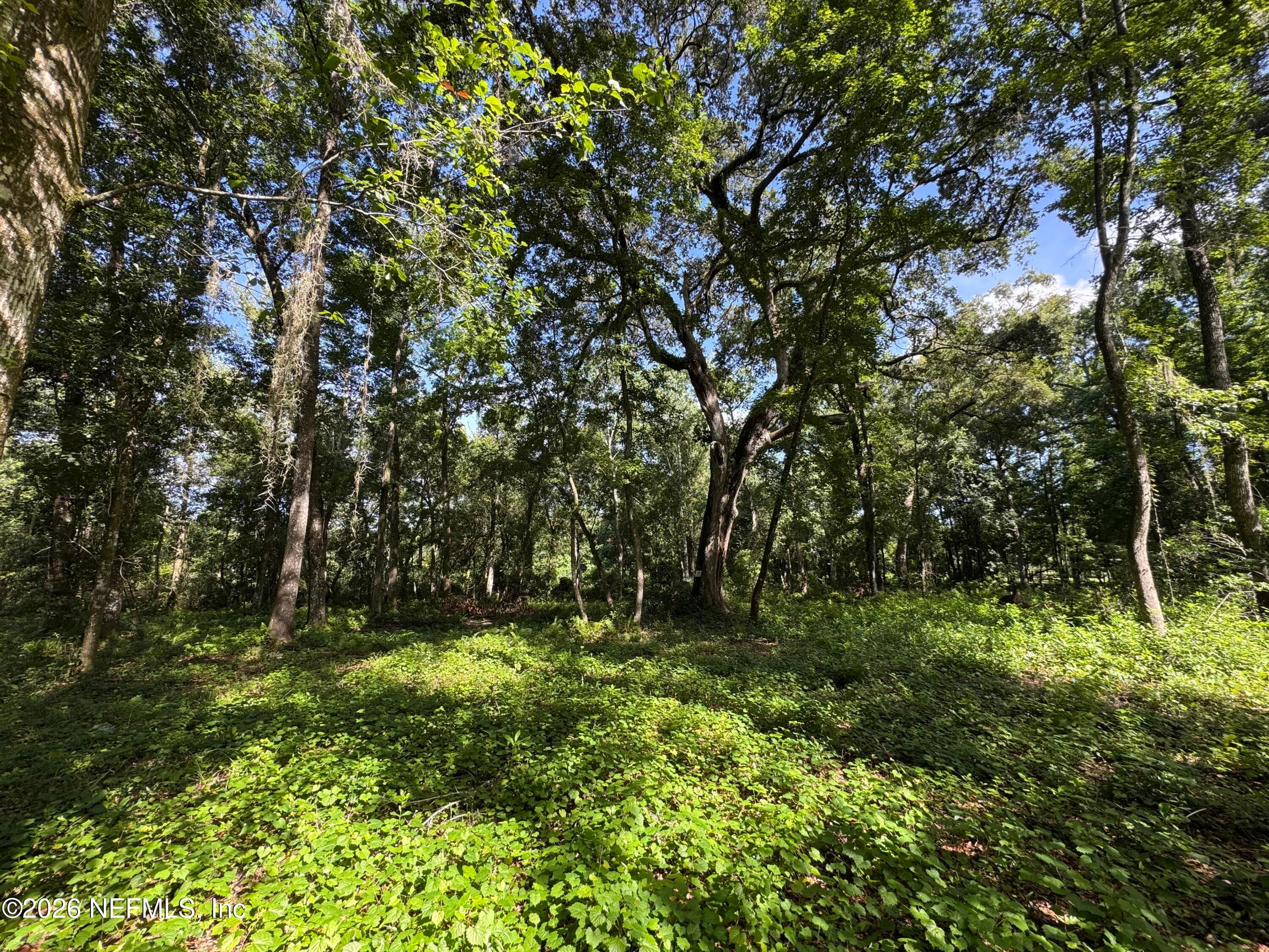 241 INDIAN LAKES FOREST Road, Florahome, FL 32140, Florahome — exterior