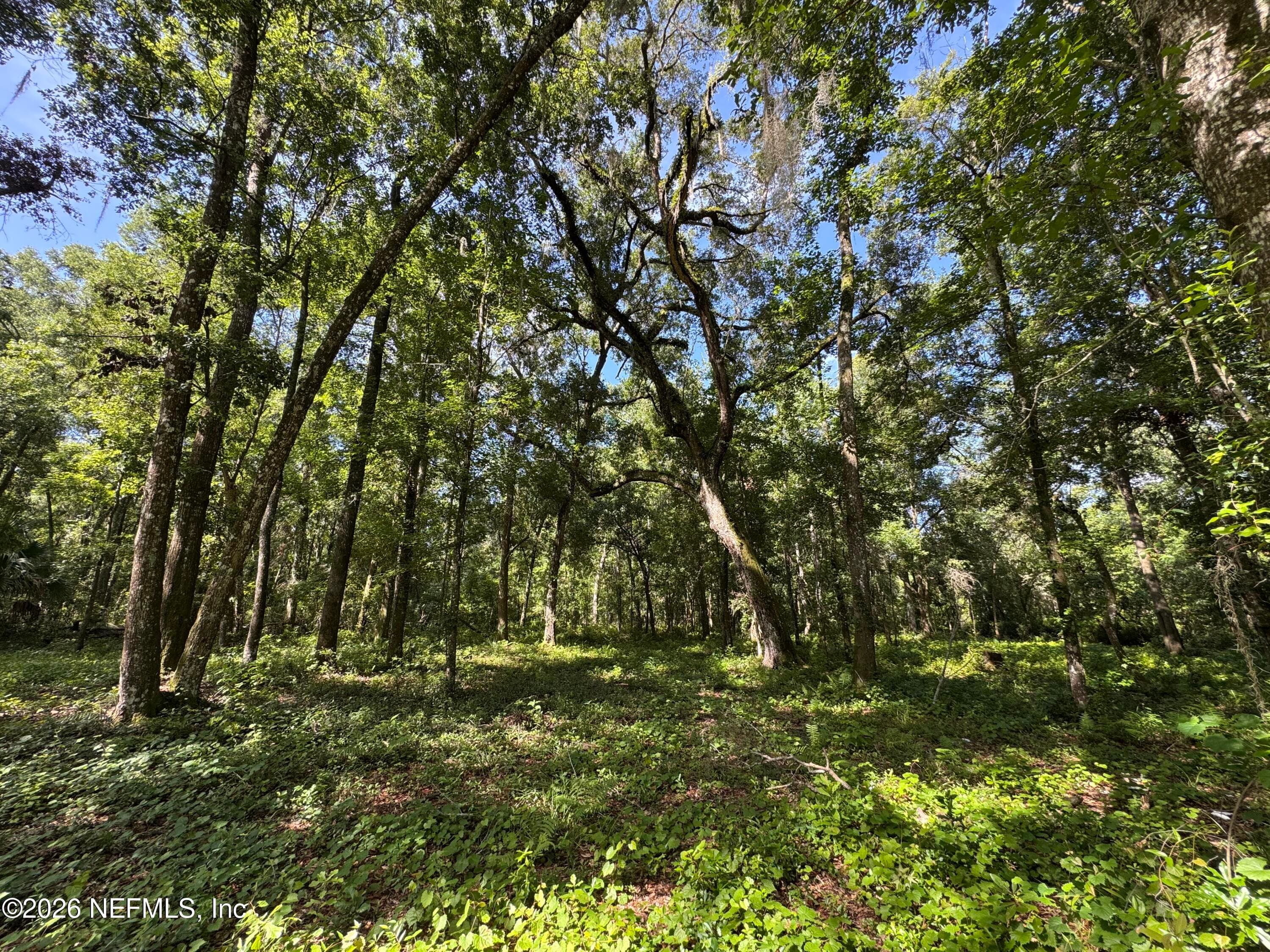 241 INDIAN LAKES FOREST Road, Florahome, FL 32140, Florahome — photo 2