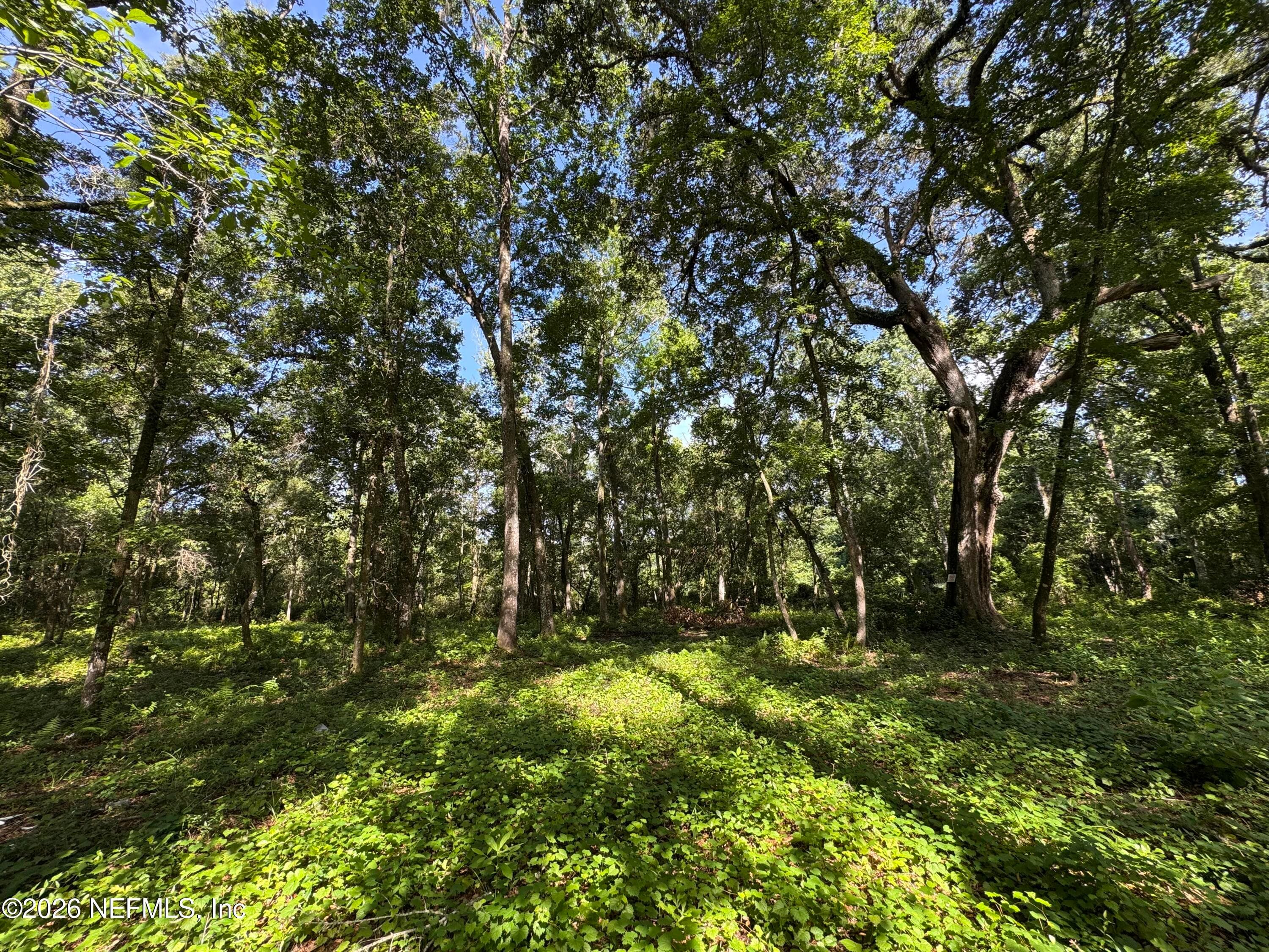 241 INDIAN LAKES FOREST Road, Florahome, FL 32140, Florahome — photo 3
