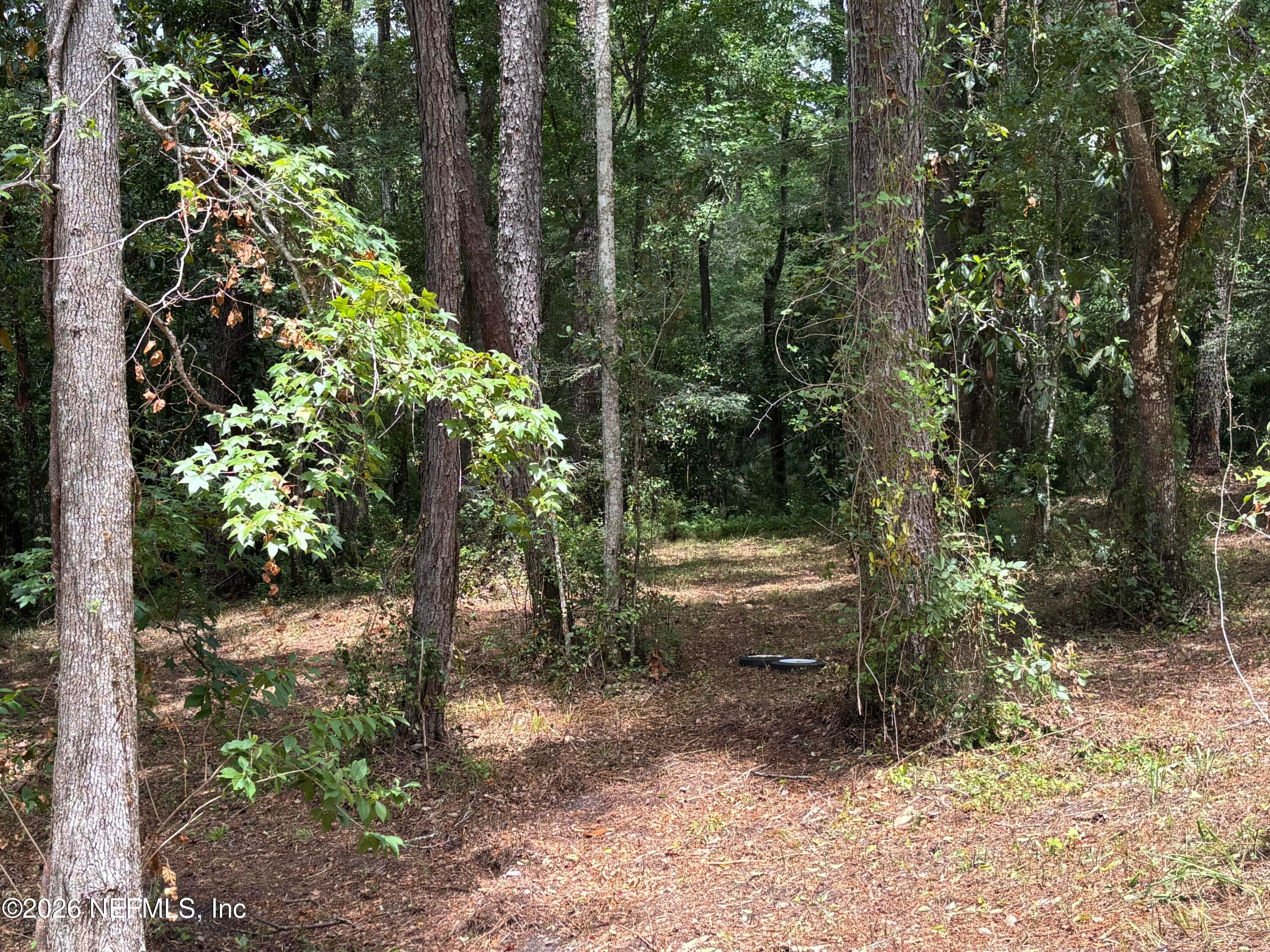 4819 GOPHER Circle, Middleburg — photo 2