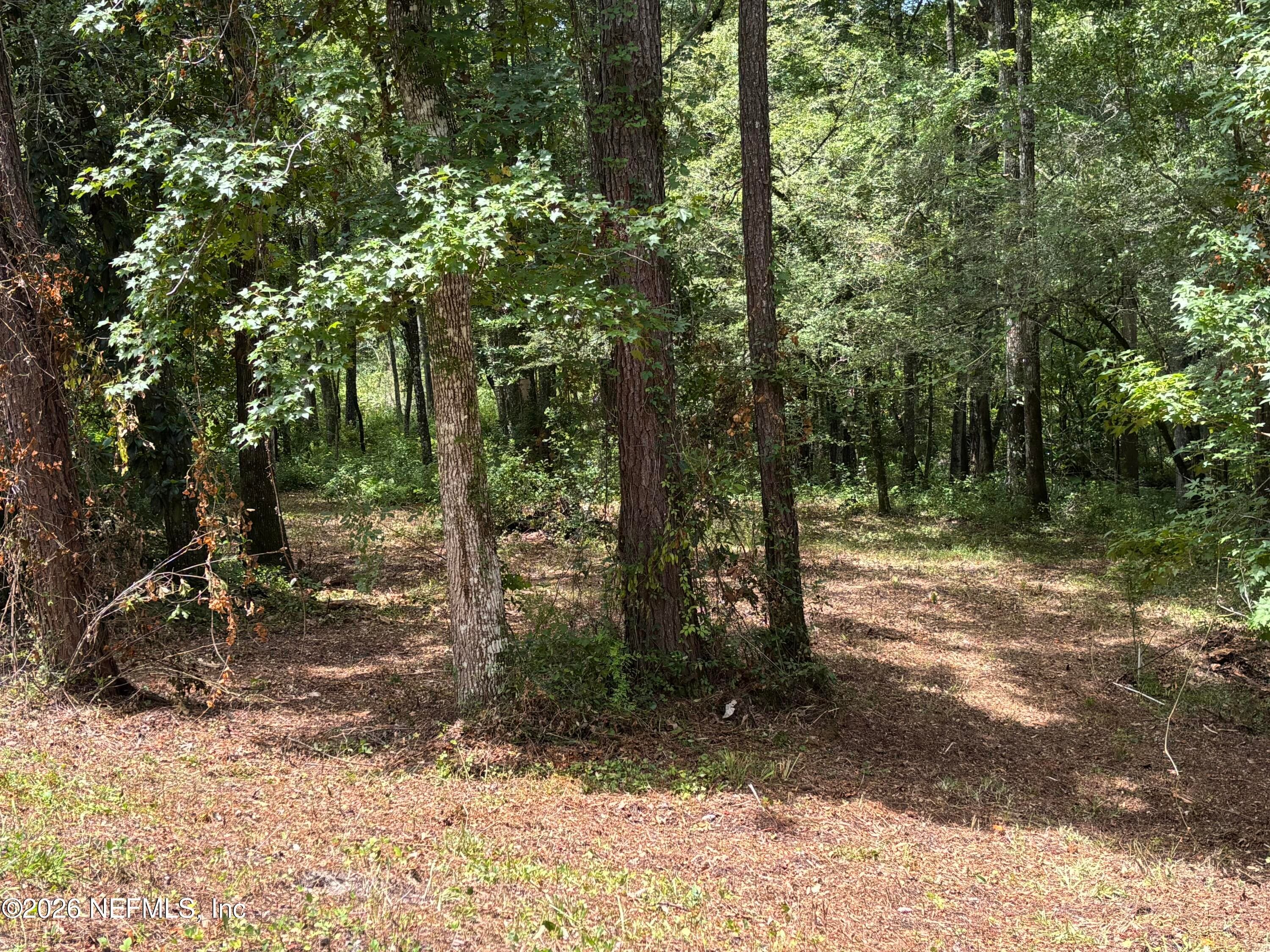 4819 GOPHER Circle, Middleburg — exterior