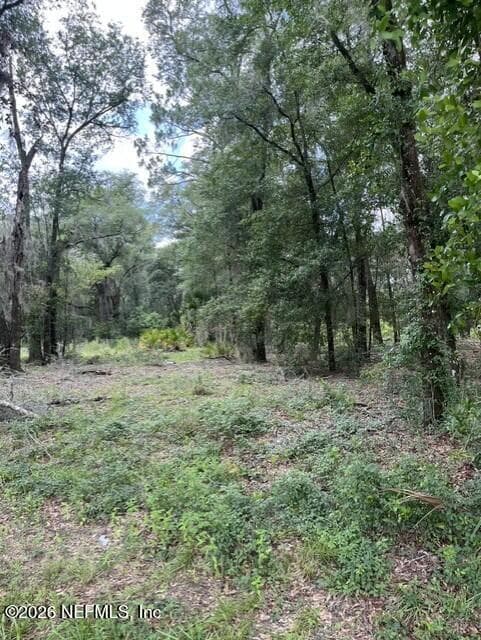 607 COUSINTOWN RD Road, Interlachen — photo 2