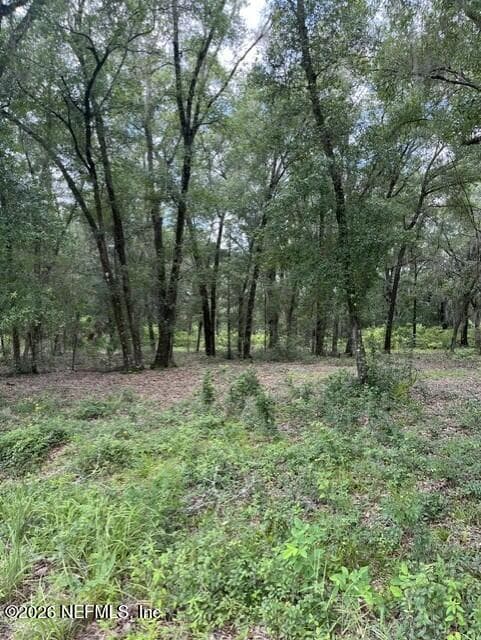 607 COUSINTOWN RD Road, Interlachen — photo 3
