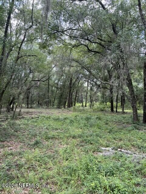 607 COUSINTOWN RD Road, Interlachen — exterior