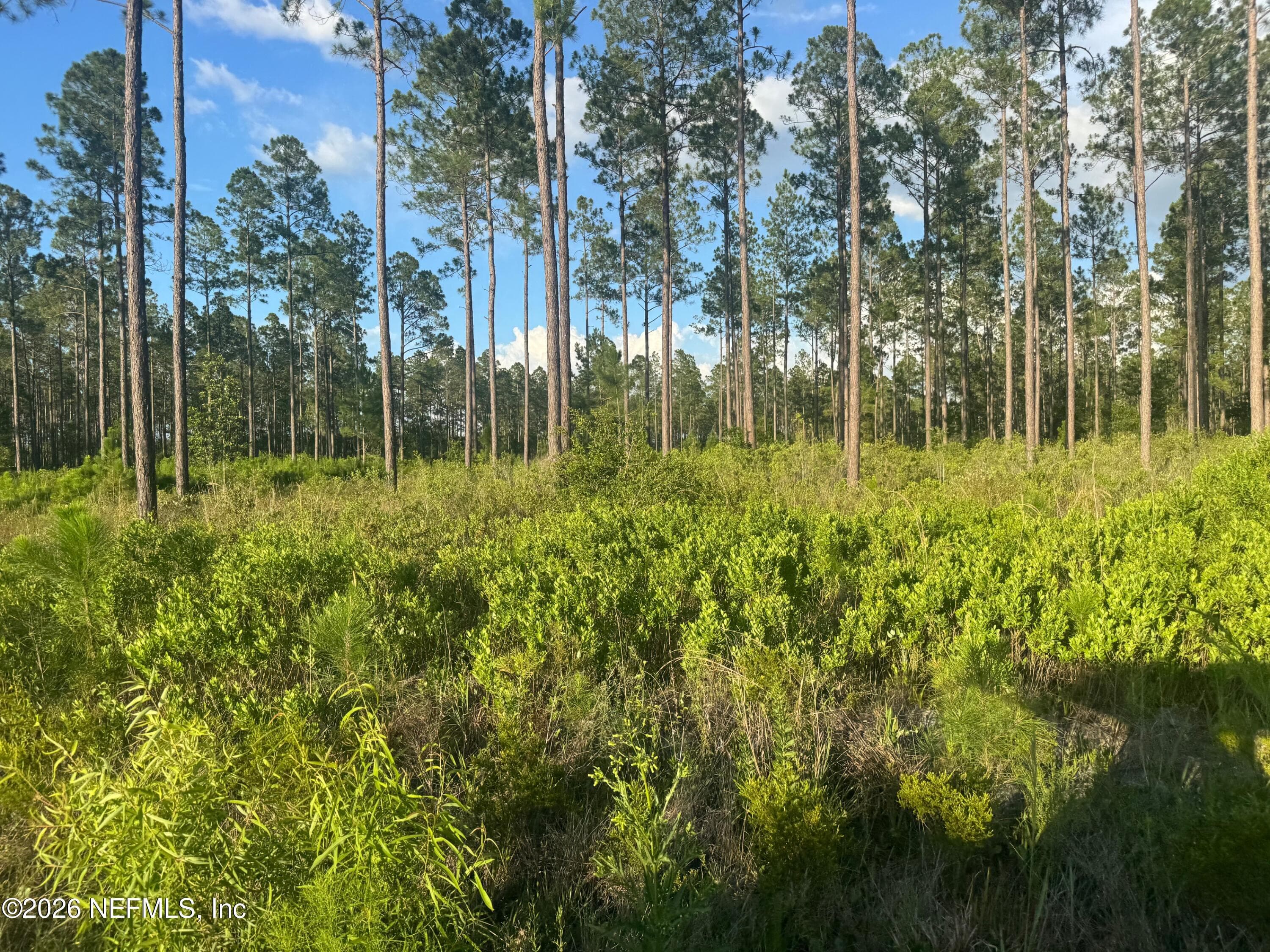 TBD NW CO RD 235, Lake Butler, FL 32054, Lake Butler — exterior