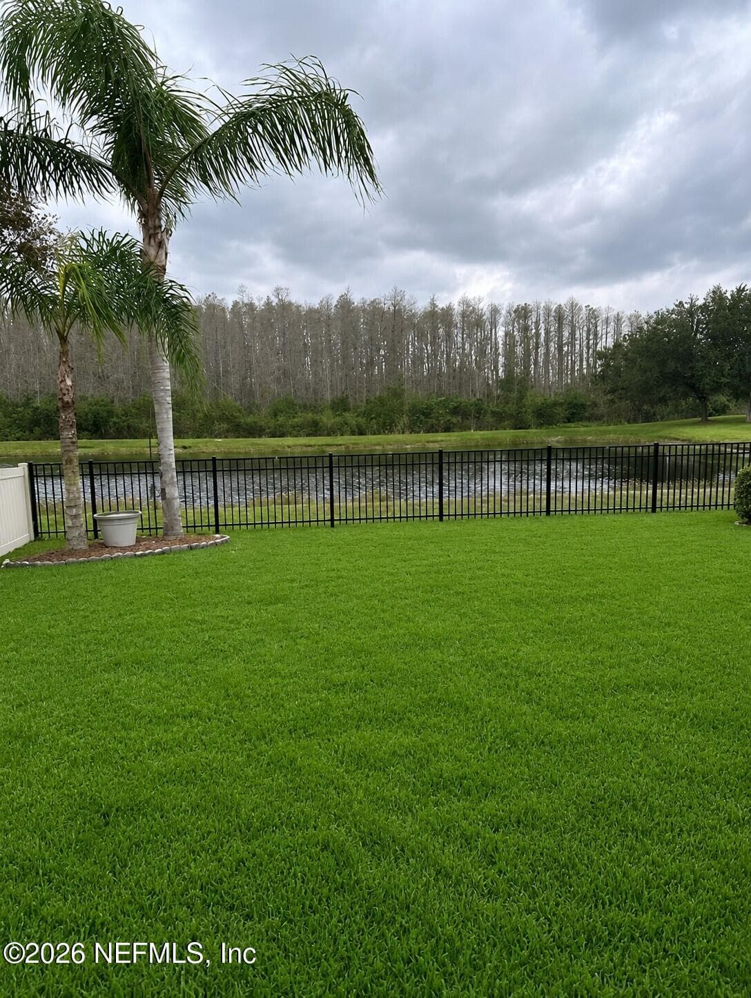 17812 SOUTER LANE, Land O'Lakes, FL 34638, Land O'Lakes — photo 2