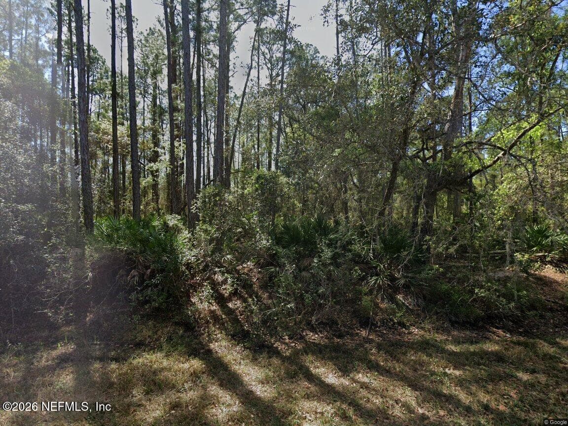 213 TERRI AVE Avenue, Georgetown, FL 32139, Georgetown — exterior