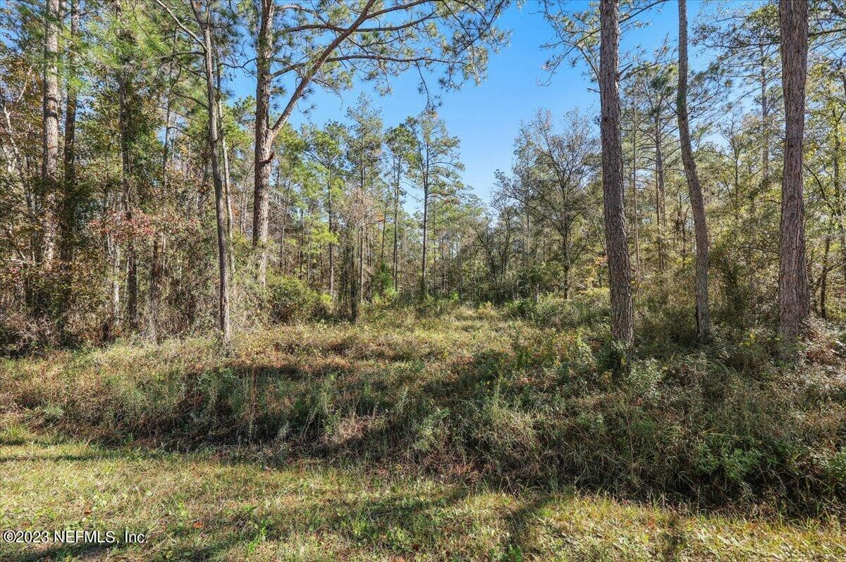 10690 GREGORY Avenue, Hastings, FL 32145, Hastings — exterior