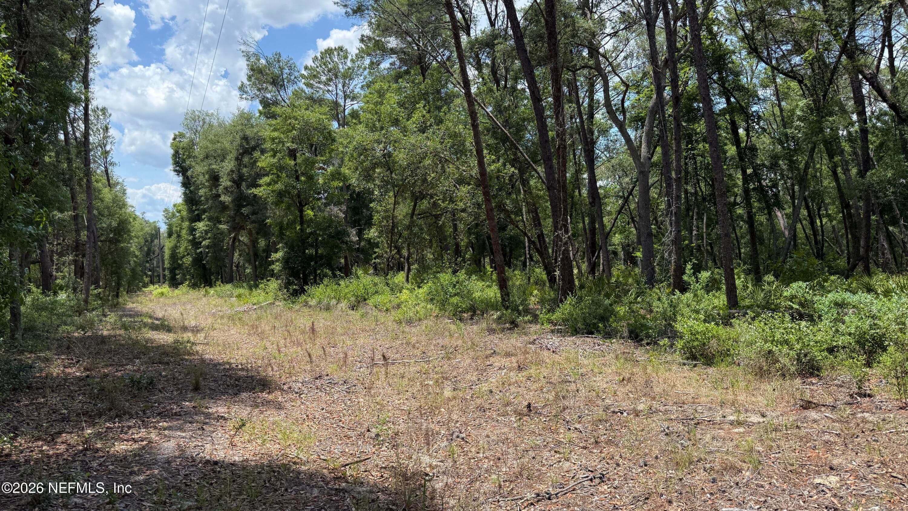 960 STATE ROAD 100, Florahome, FL 32140, Florahome — photo 2