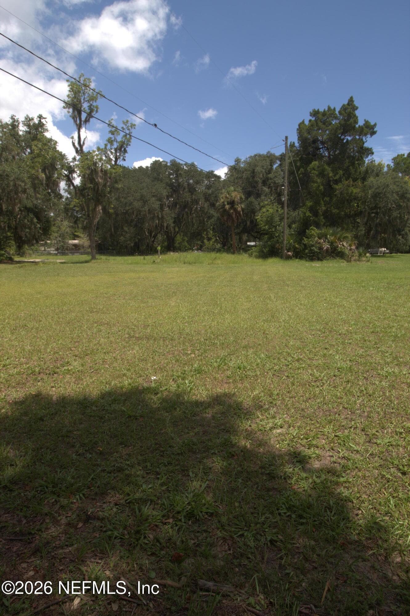 12924 NUNGEZER Road, Jacksonville, FL 32226, Jacksonville — photo 2