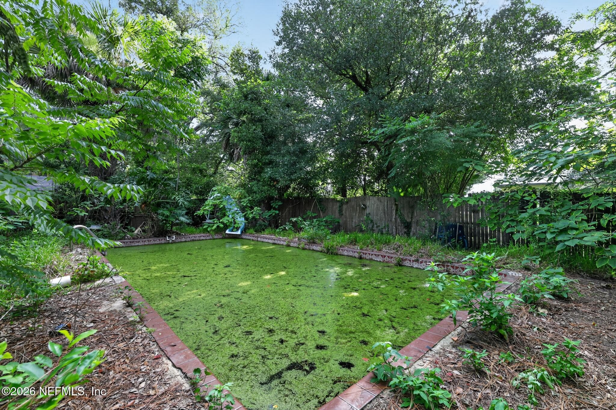 3147 CATHEDRAL Lane, Jacksonville, FL 32277, Jacksonville — photo 3
