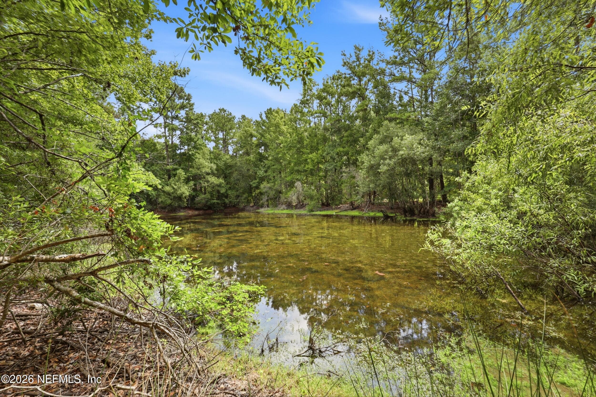 143 PINE TREE Road, Palatka — photo 3