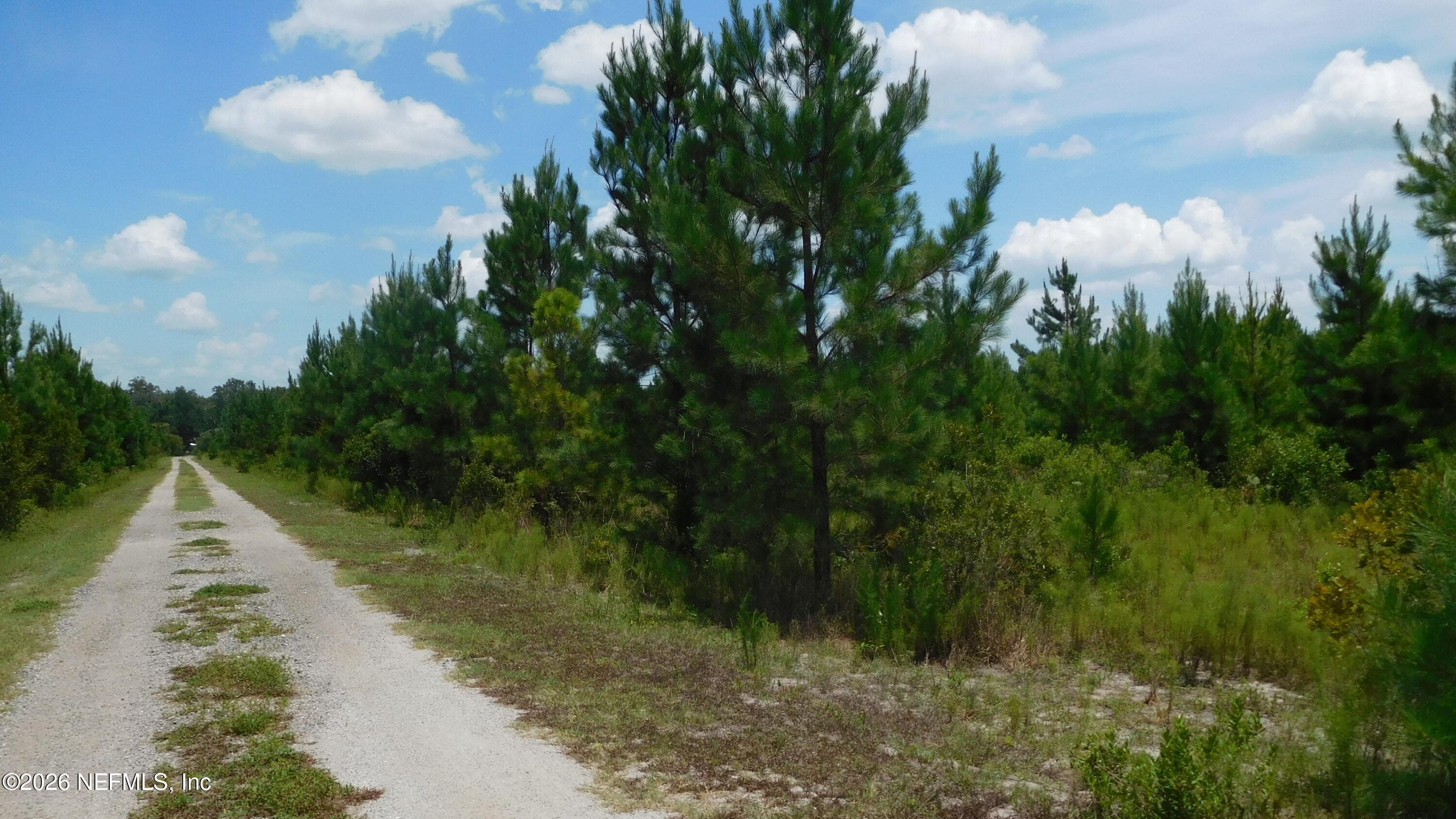 56585 DAVIS Road, Callahan, FL 32011, Callahan — photo 2