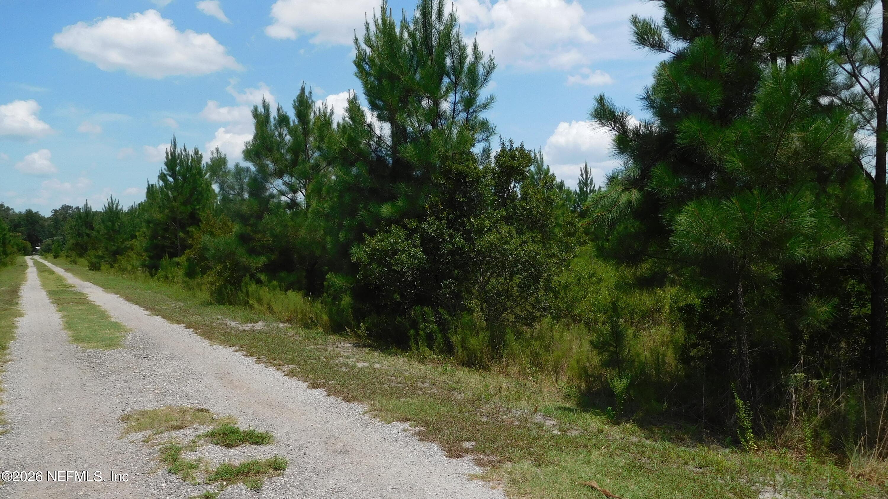 56585 DAVIS Road, Callahan, FL 32011, Callahan — photo 3
