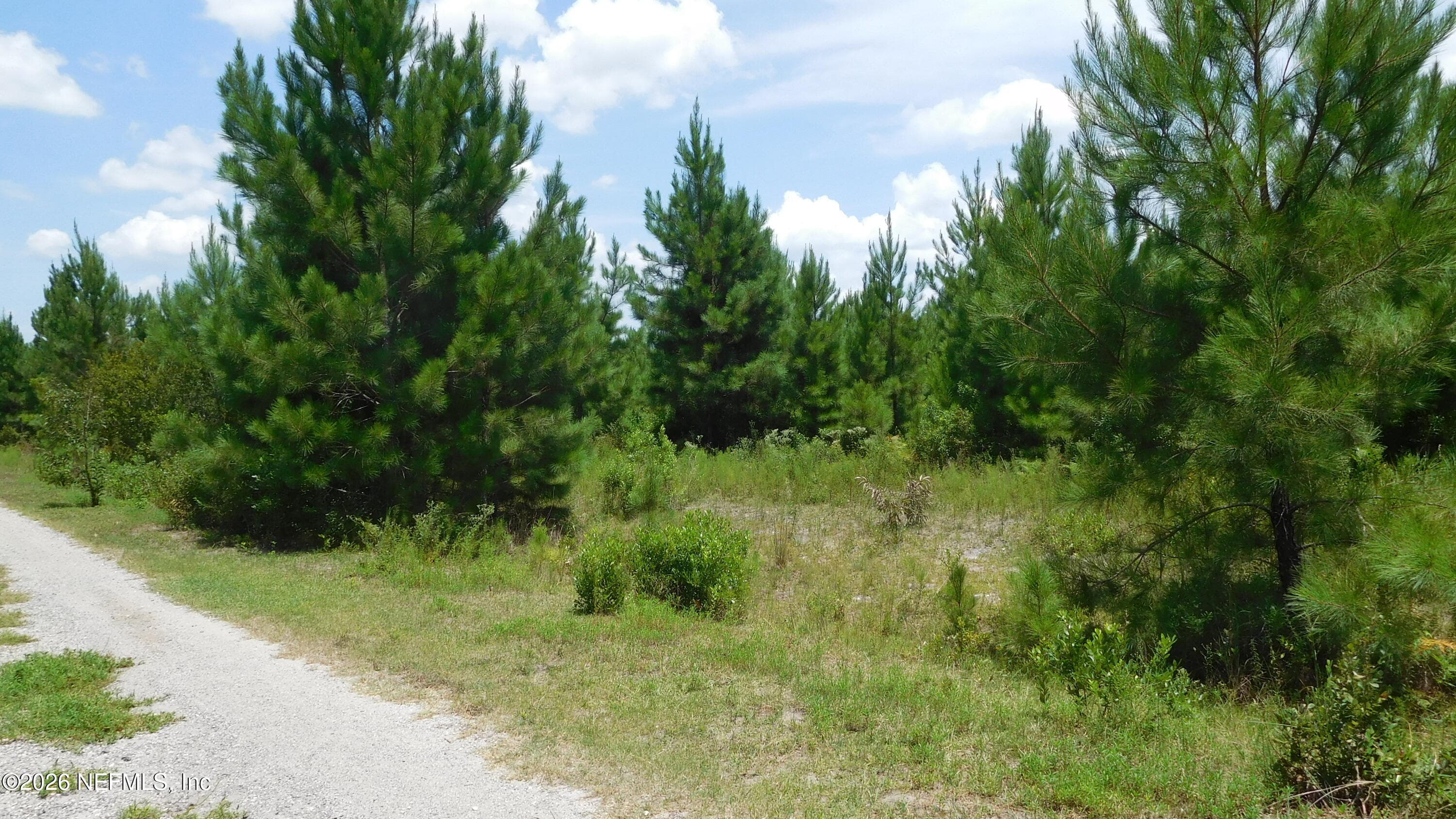56585 DAVIS Road, Callahan, FL 32011, Callahan — photo 2