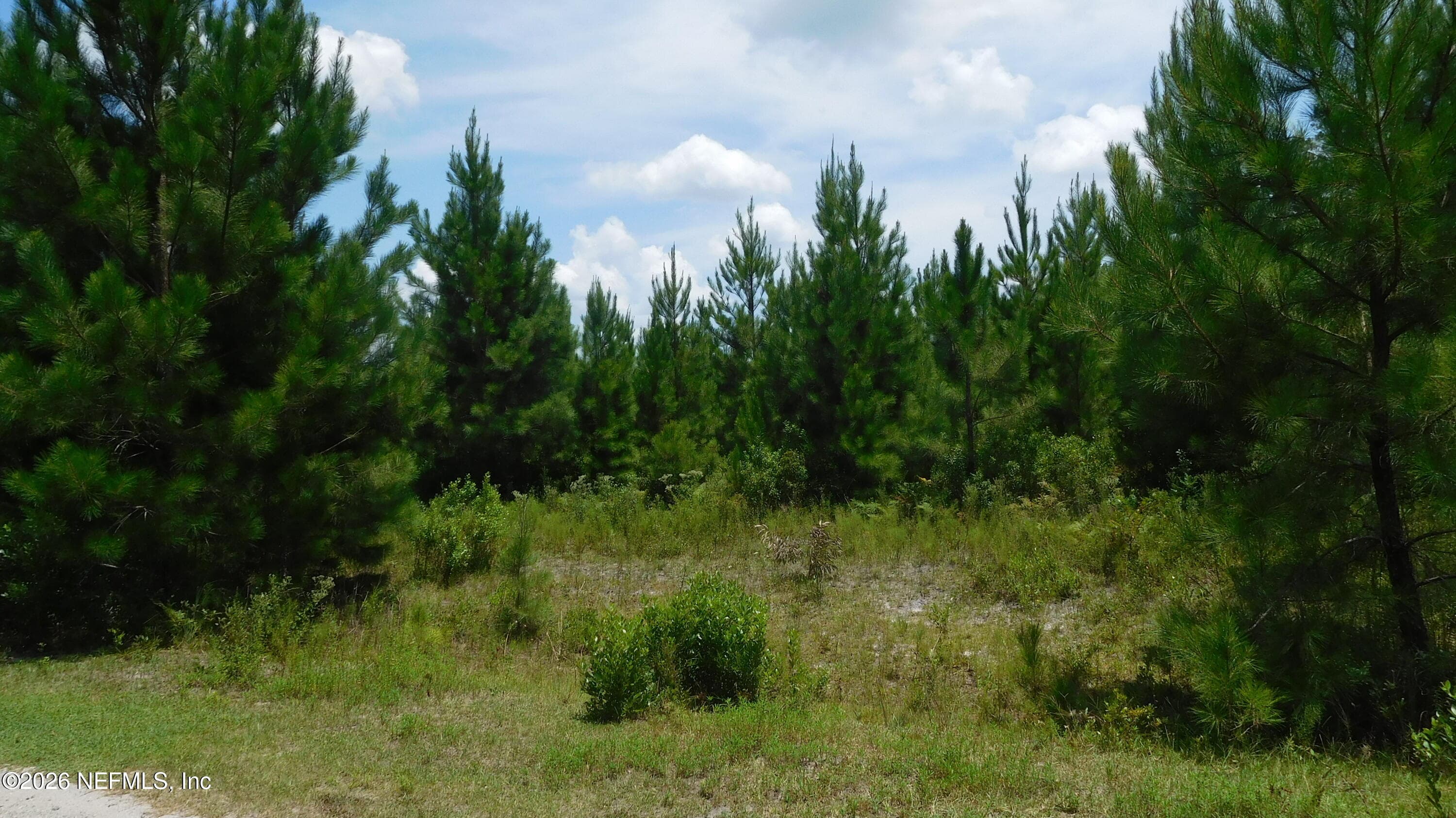 56585 DAVIS Road, Callahan, FL 32011, Callahan — photo 3