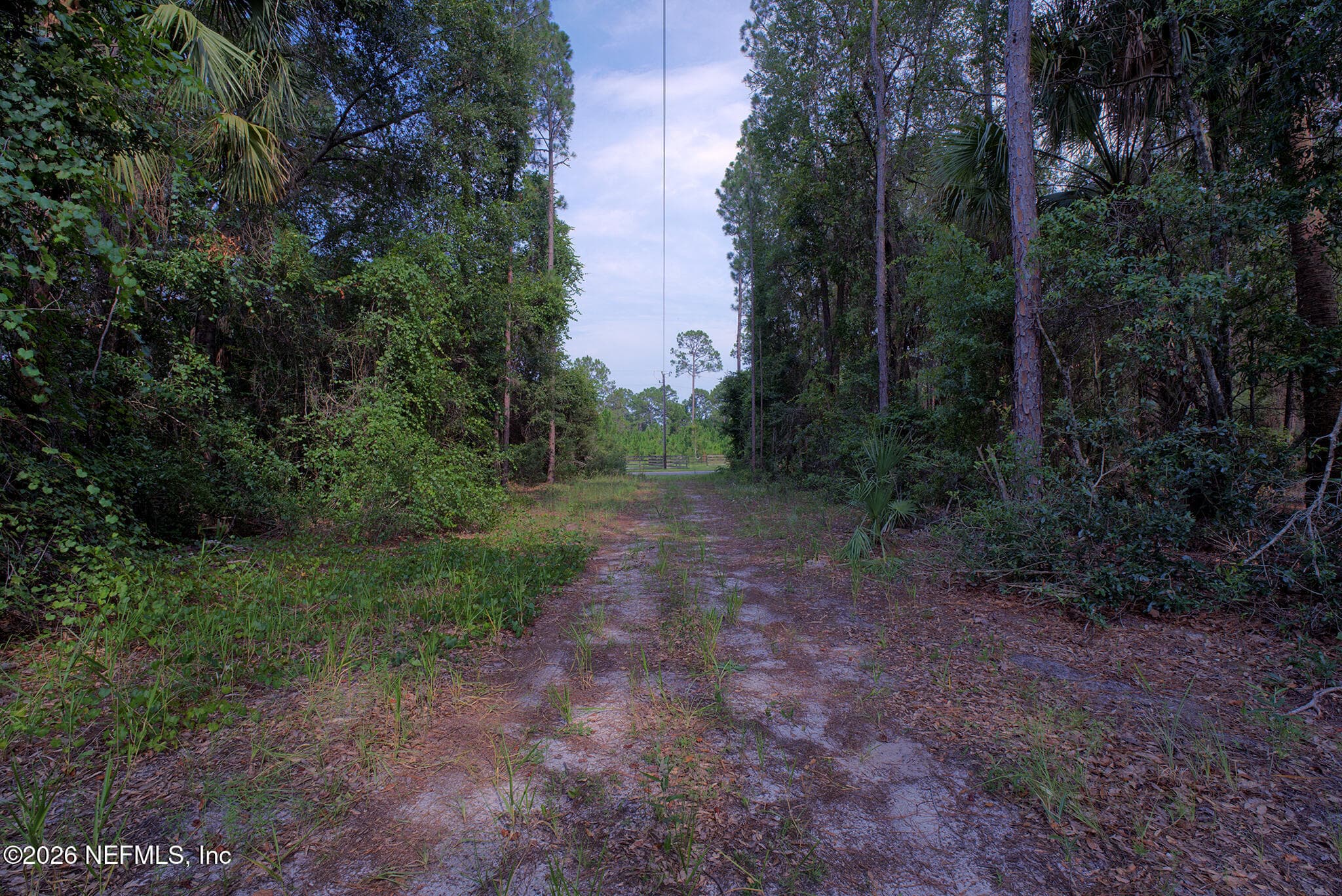 000 COUSINTOWN Road, Interlachen, FL 32148, Interlachen — photo 2