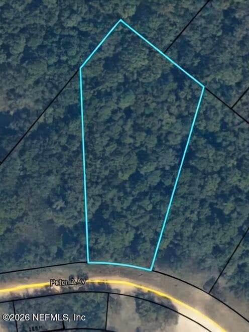 4688 PETUNIA Avenue, Middleburg, FL 32068, Middleburg — exterior