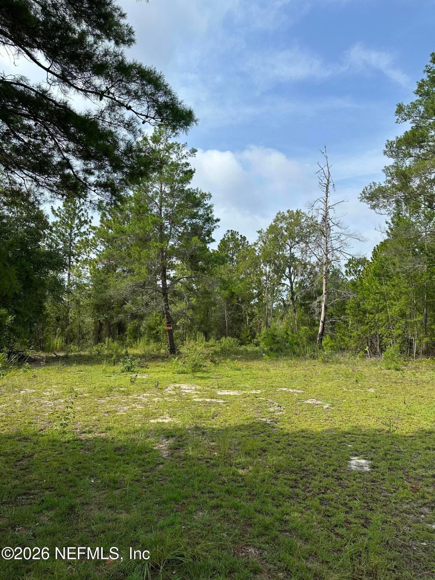 121 PANAMA Street, Interlachen, FL 32148, Interlachen — exterior