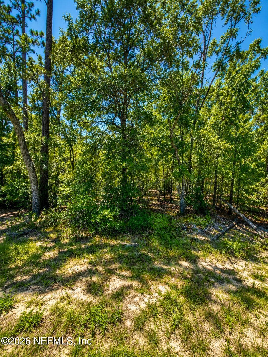 507 & 509 BADEN POWELL Road, Hawthorne, FL 32640, Hawthorne — photo 2