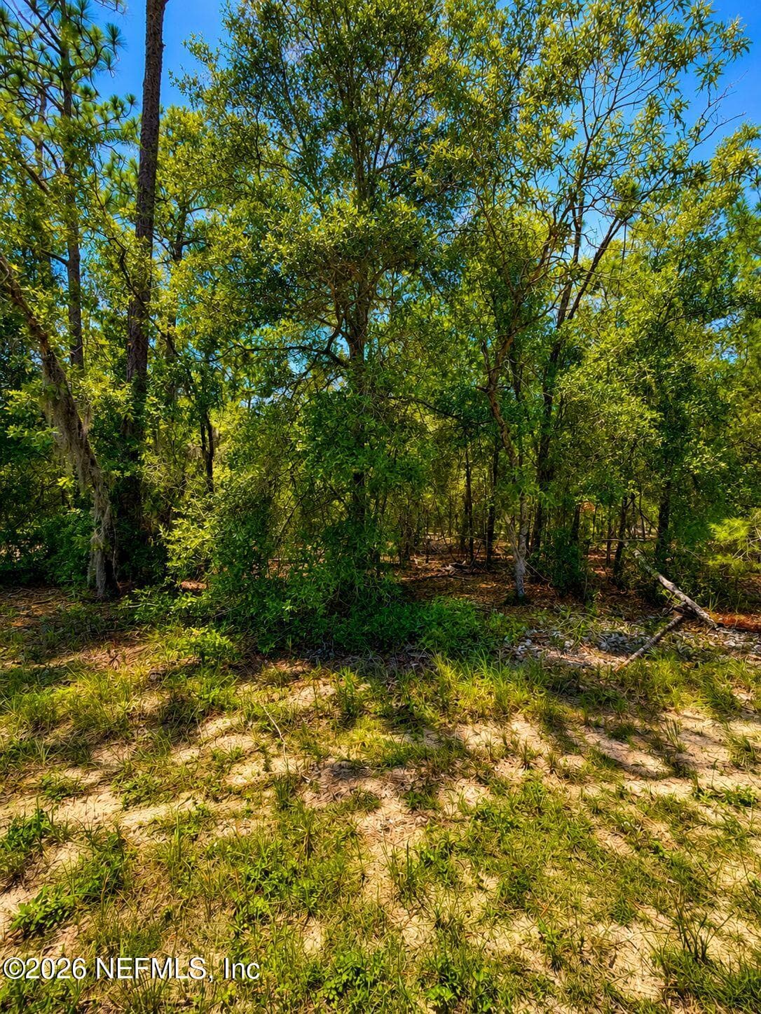 507 & 509 BADEN POWELL Road, Hawthorne, FL 32640, Hawthorne — photo 3