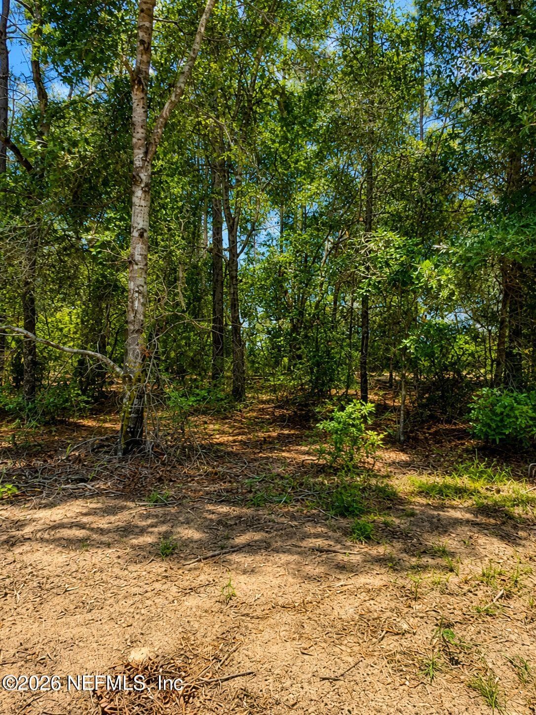 523 & 525 BADEN POWELL, Hawthorne, FL 32640, Hawthorne — photo 2