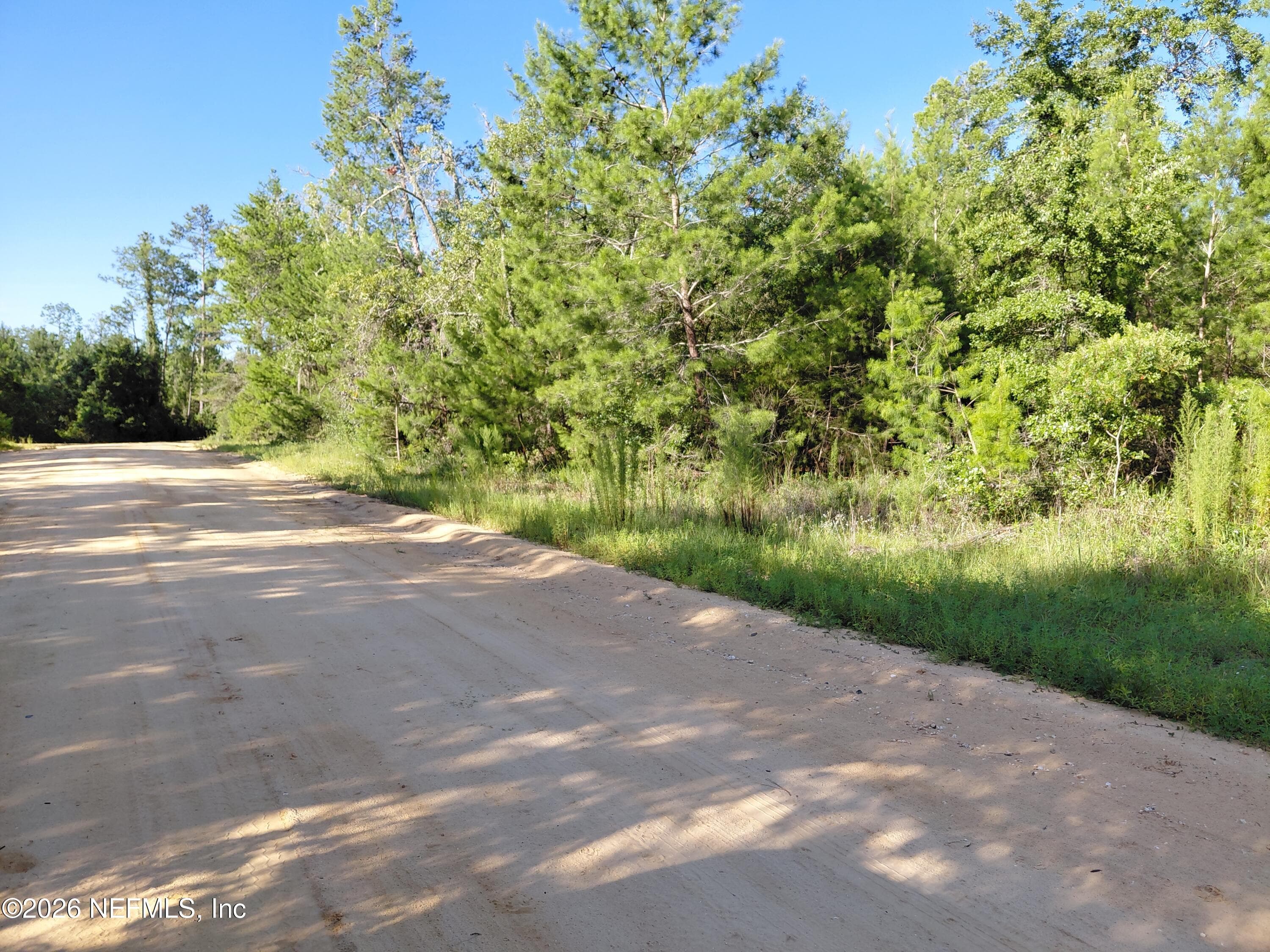 TBD THERESA Avenue, Interlachen, FL 32148, Interlachen — exterior